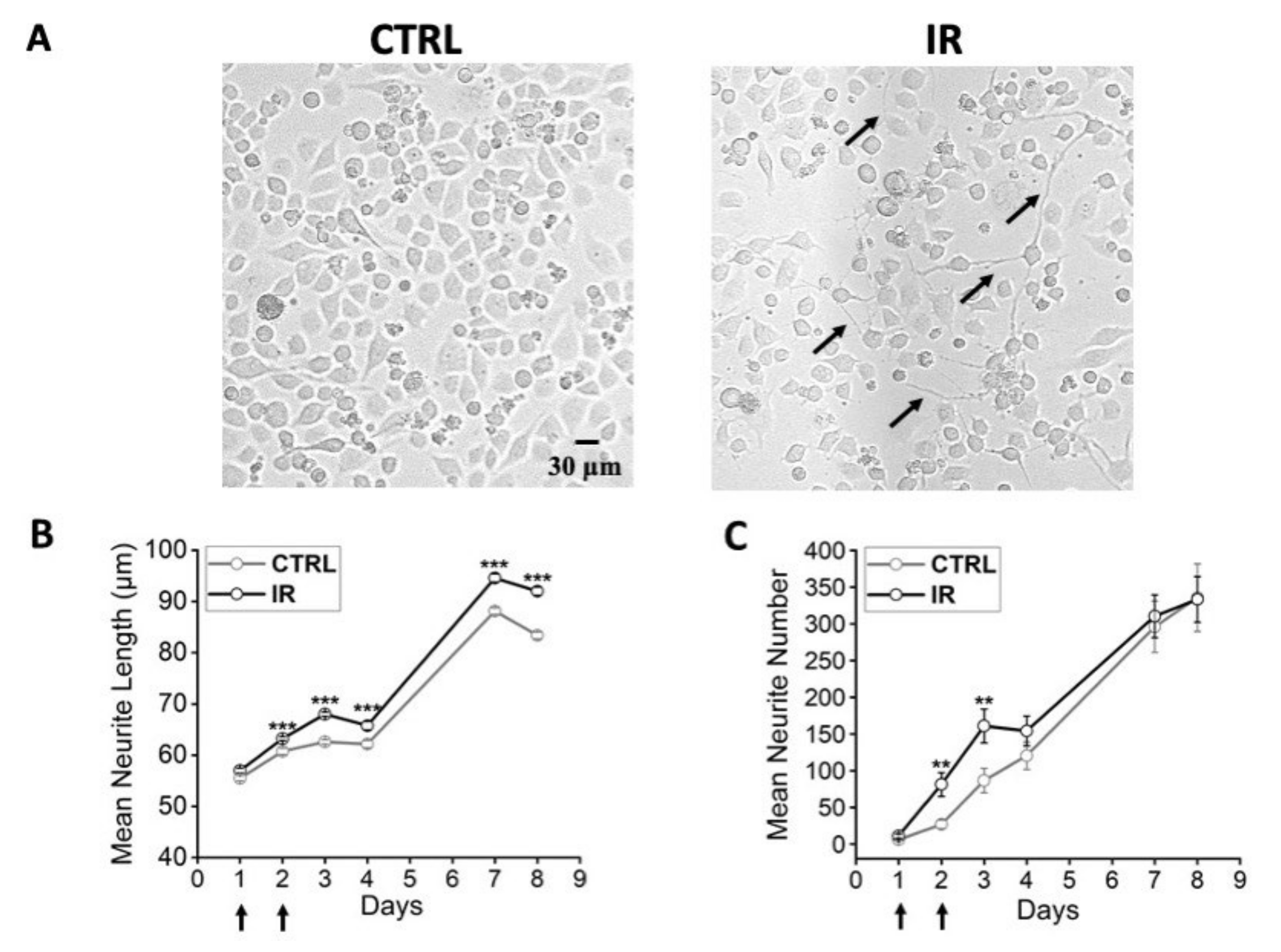 Nanomaterials 12 02304 g006 550
