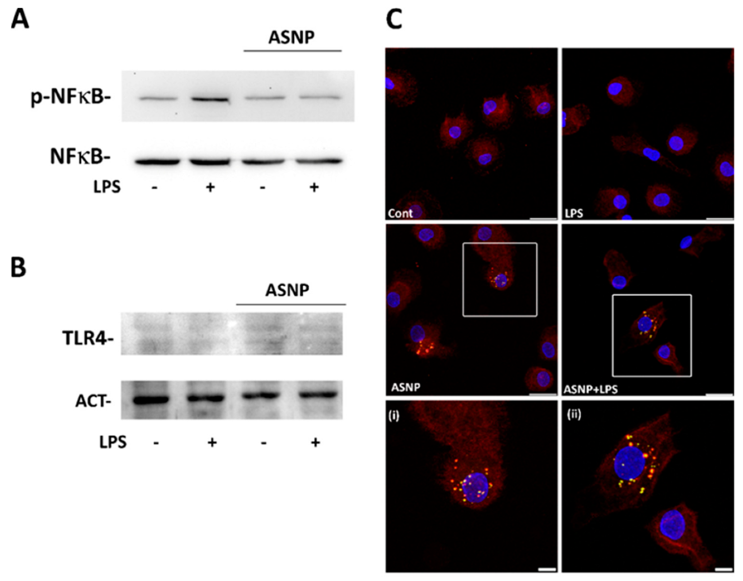 Nanomaterials 12 02307 g003