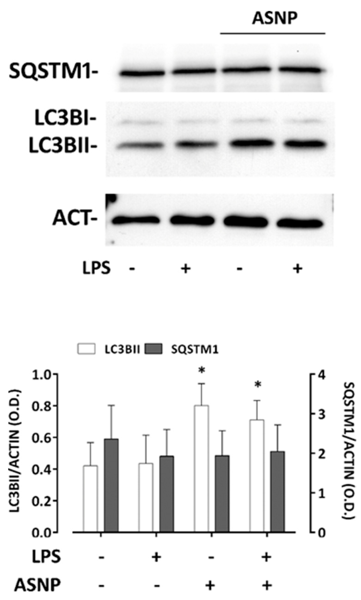 Nanomaterials 12 02307 g004