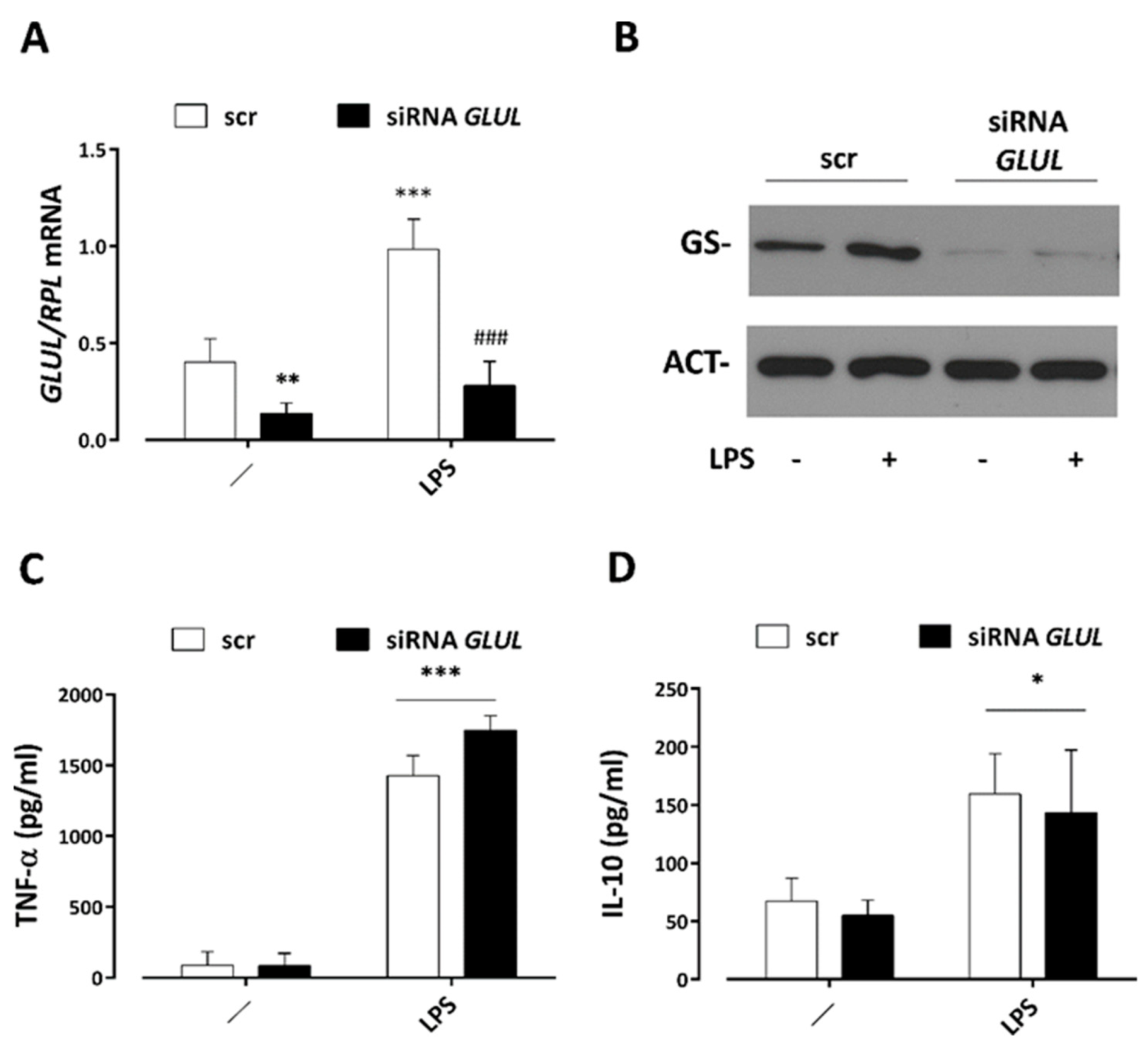 Nanomaterials 12 02307 g007