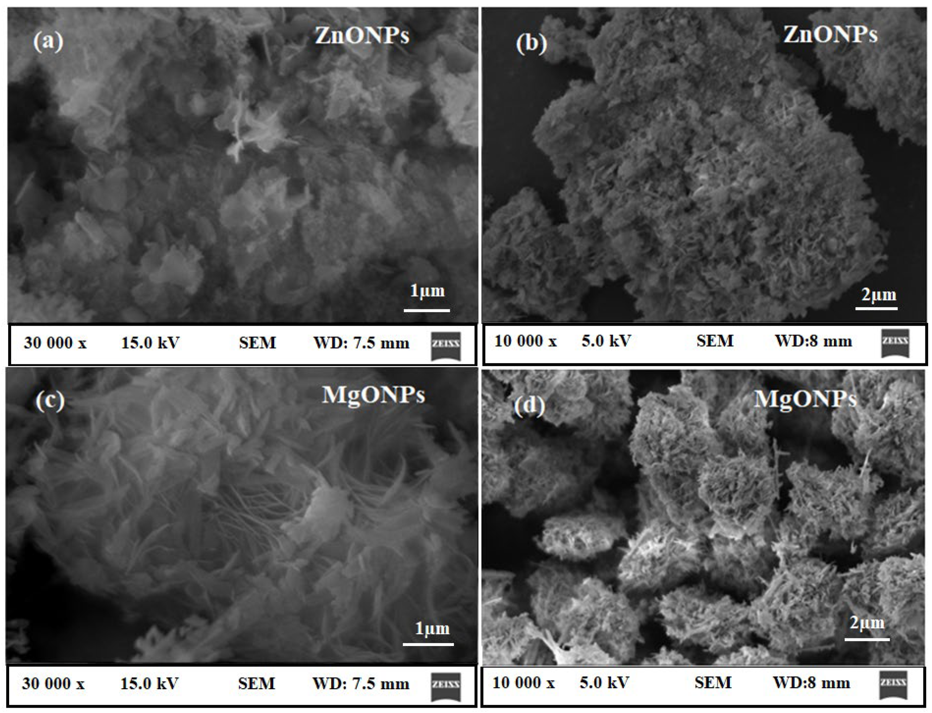 Nanomaterials 12 02313 g006 Nanomaterials 12 02313 g006