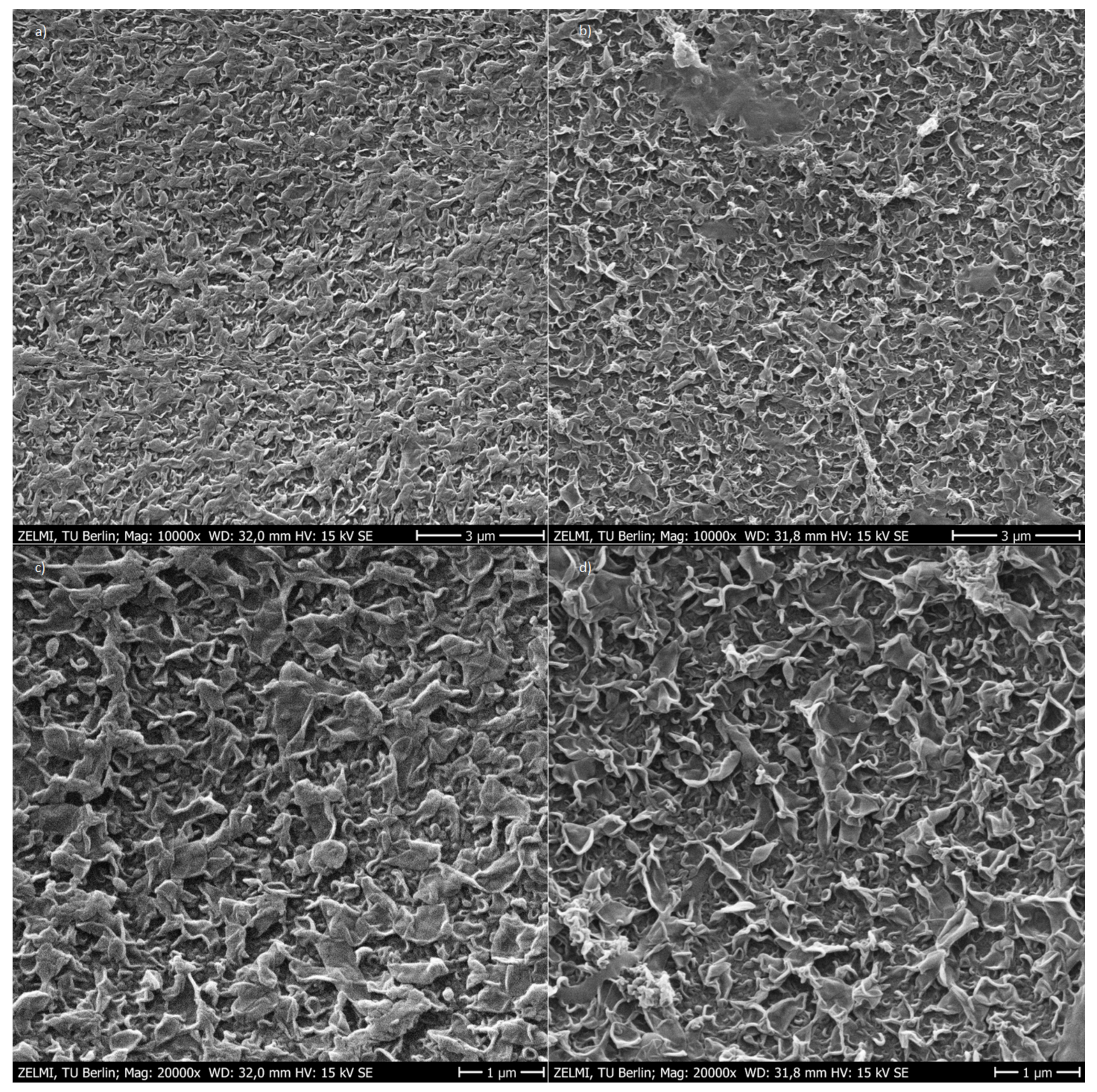 Nanomaterials 12 02314 g010