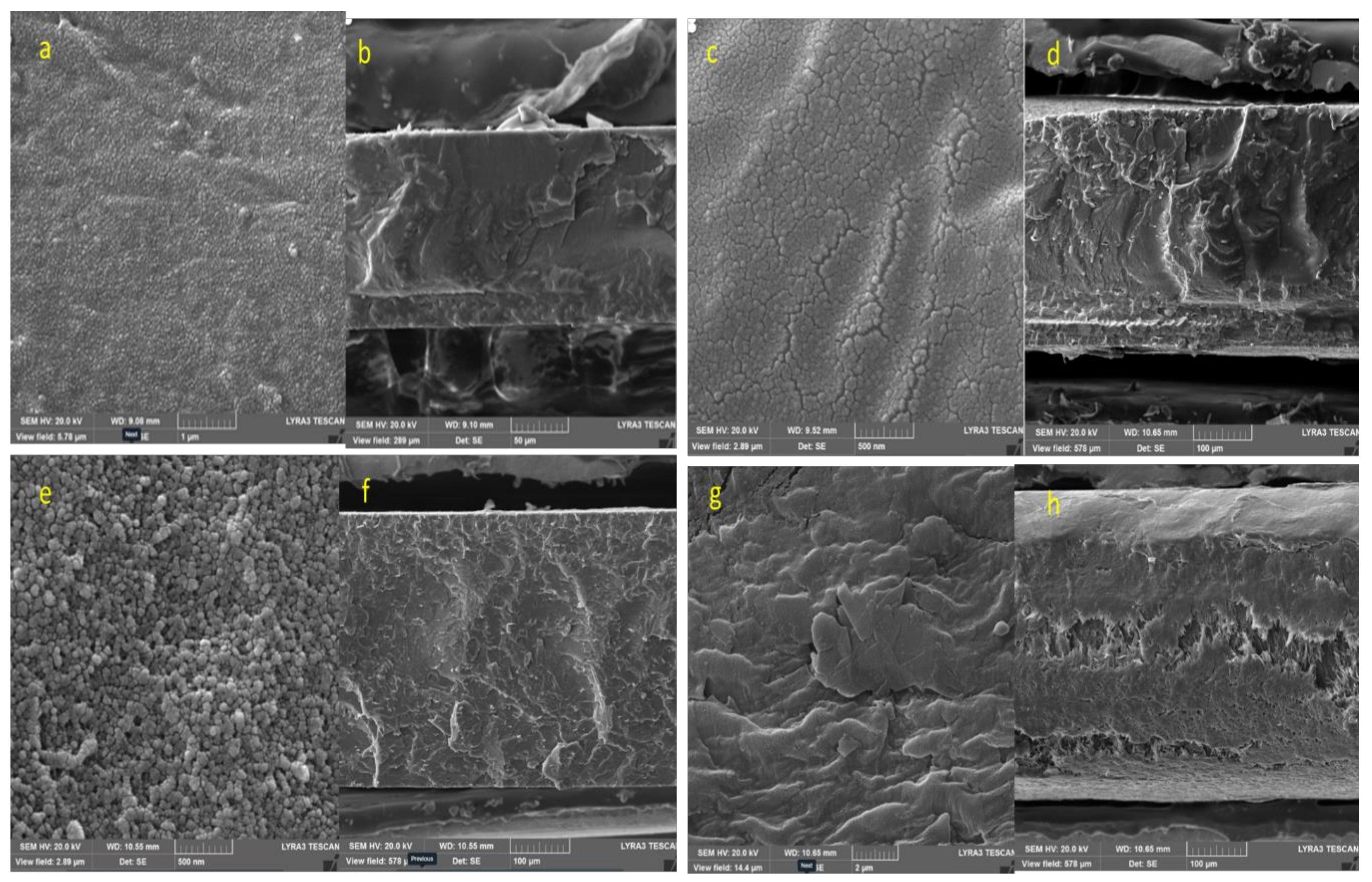 Nanomaterials 12 02315 g011