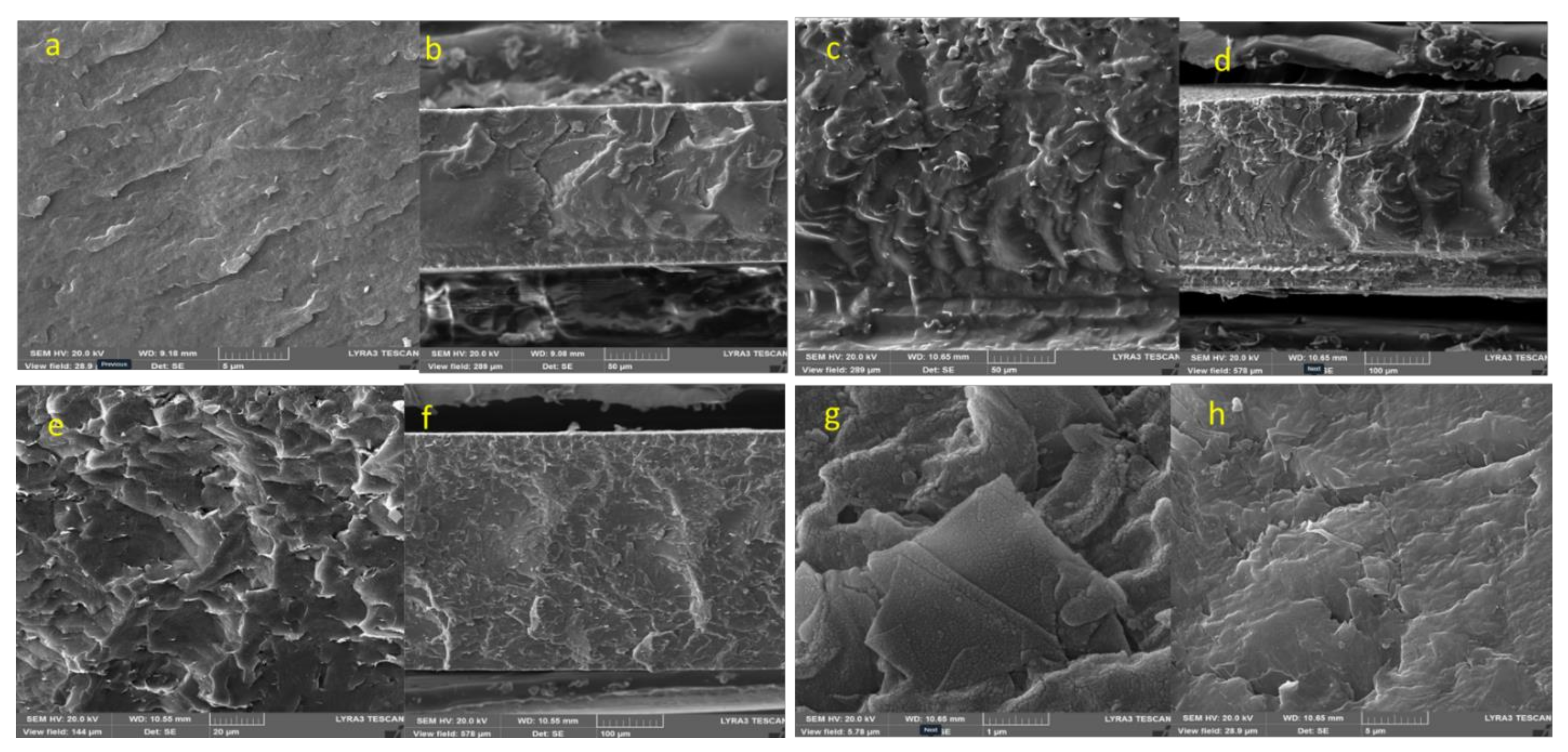 Nanomaterials 12 02315 g012