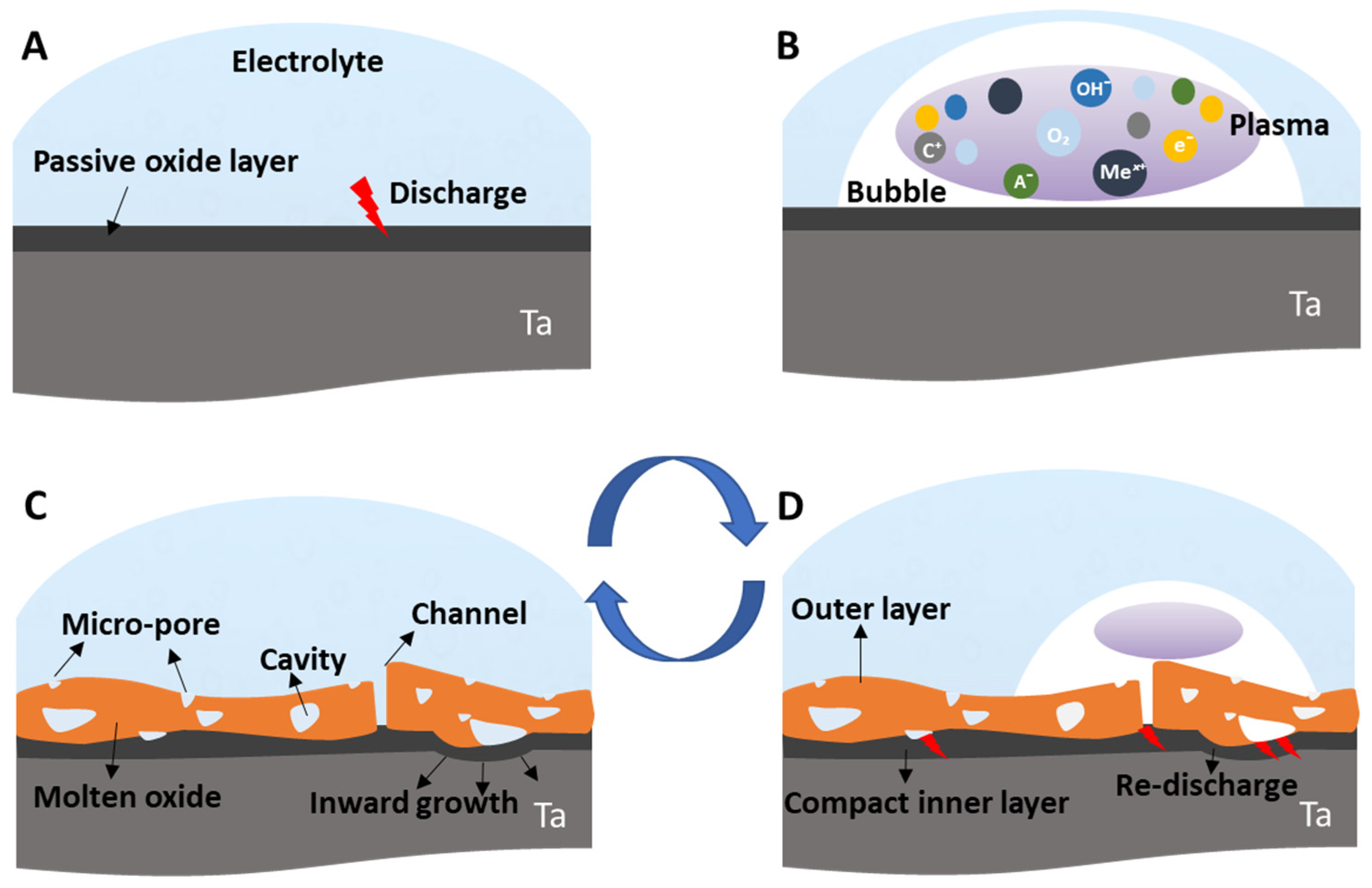 Nanomaterials 12 02319 g001