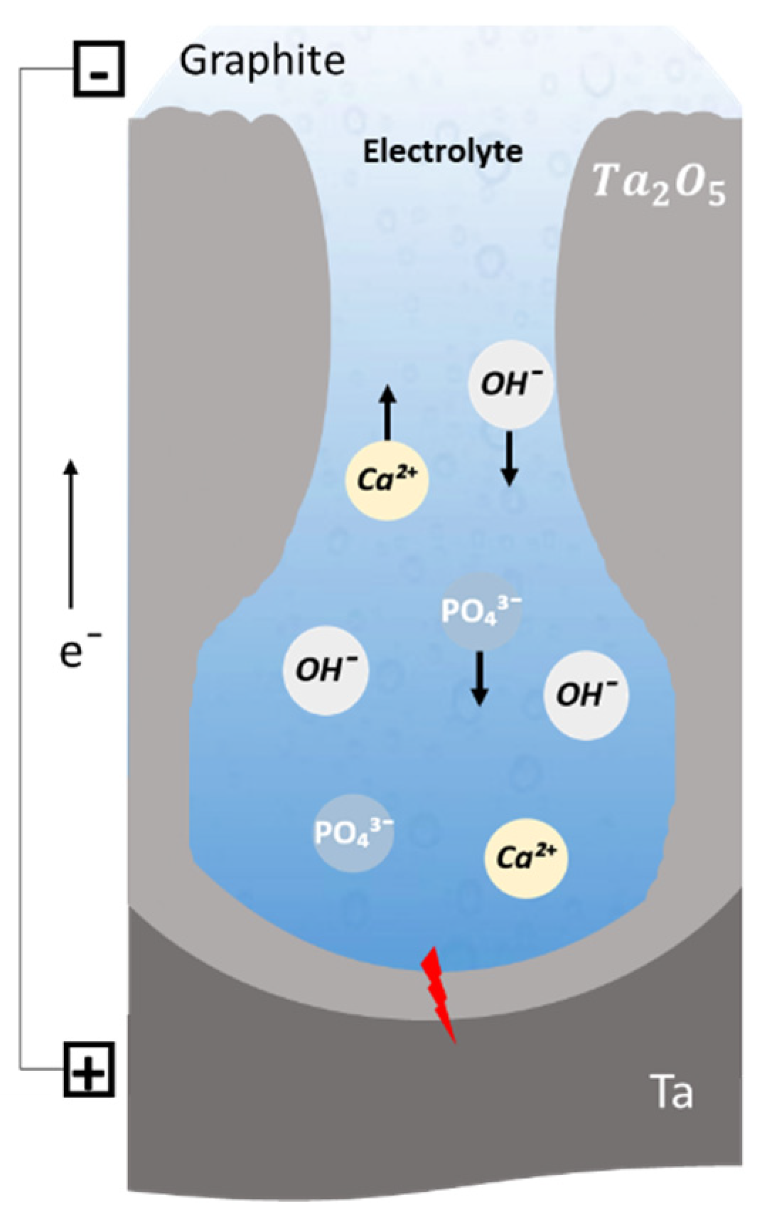 Nanomaterials 12 02319 g002
