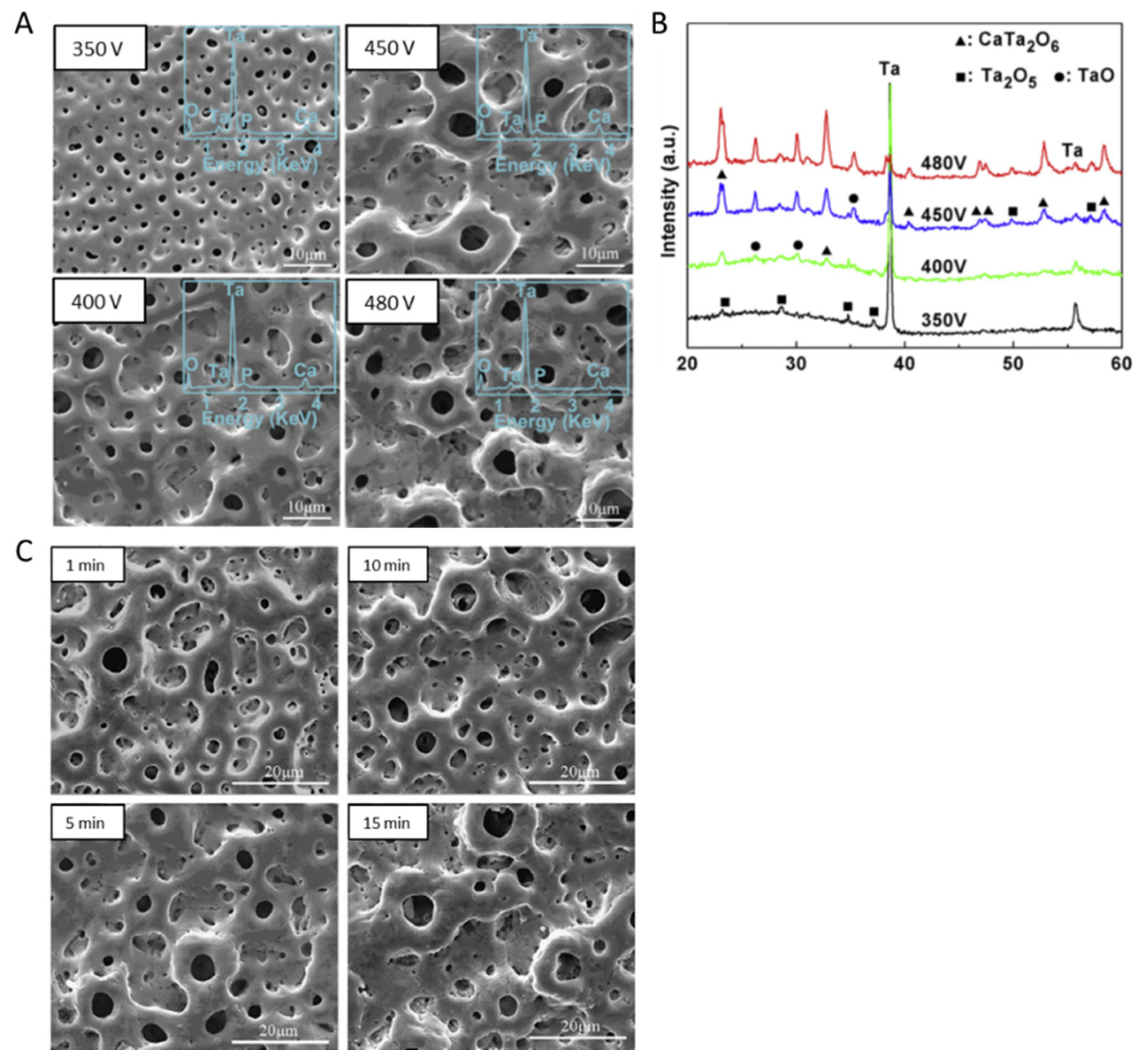 Nanomaterials 12 02319 g010