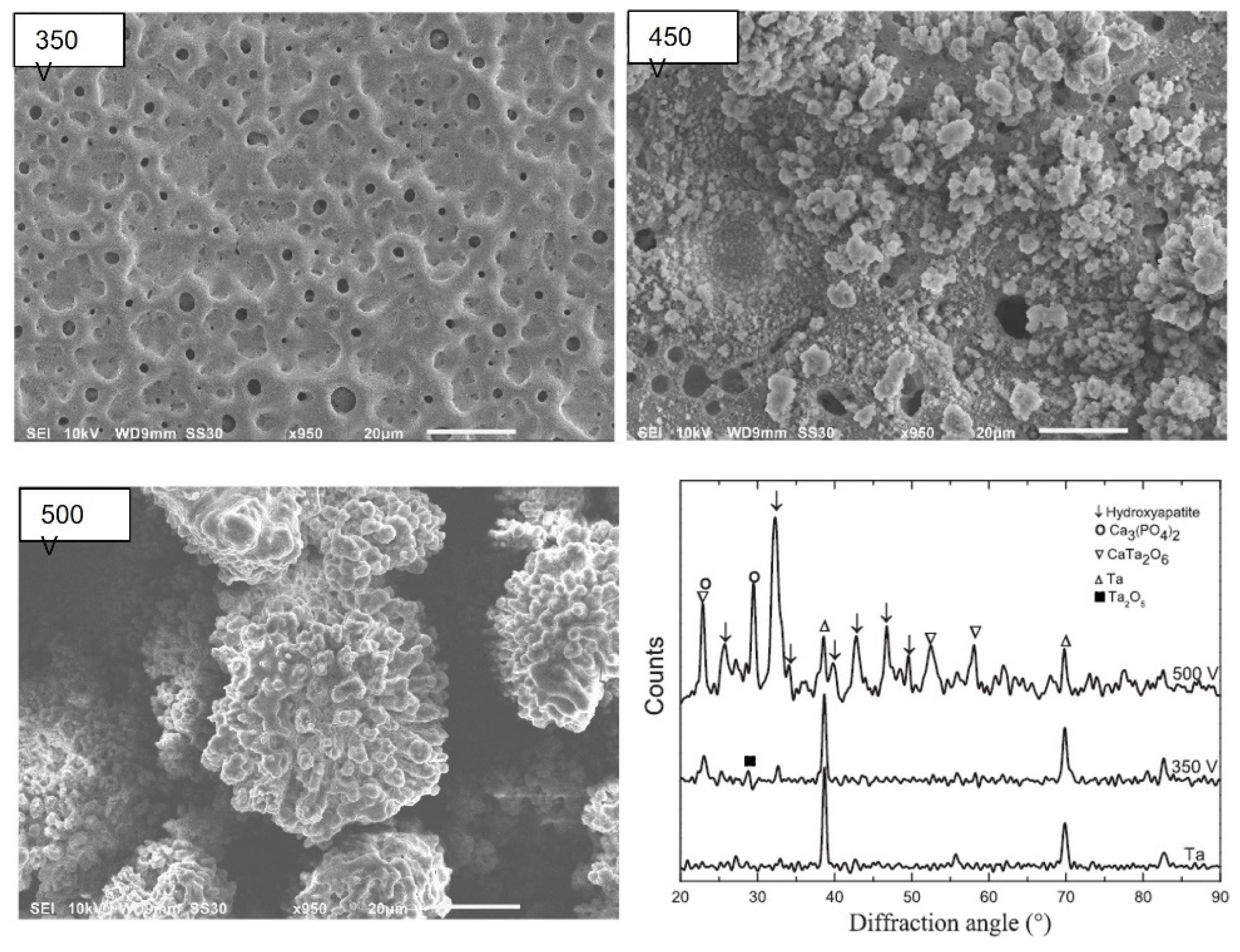 Nanomaterials 12 02319 g011