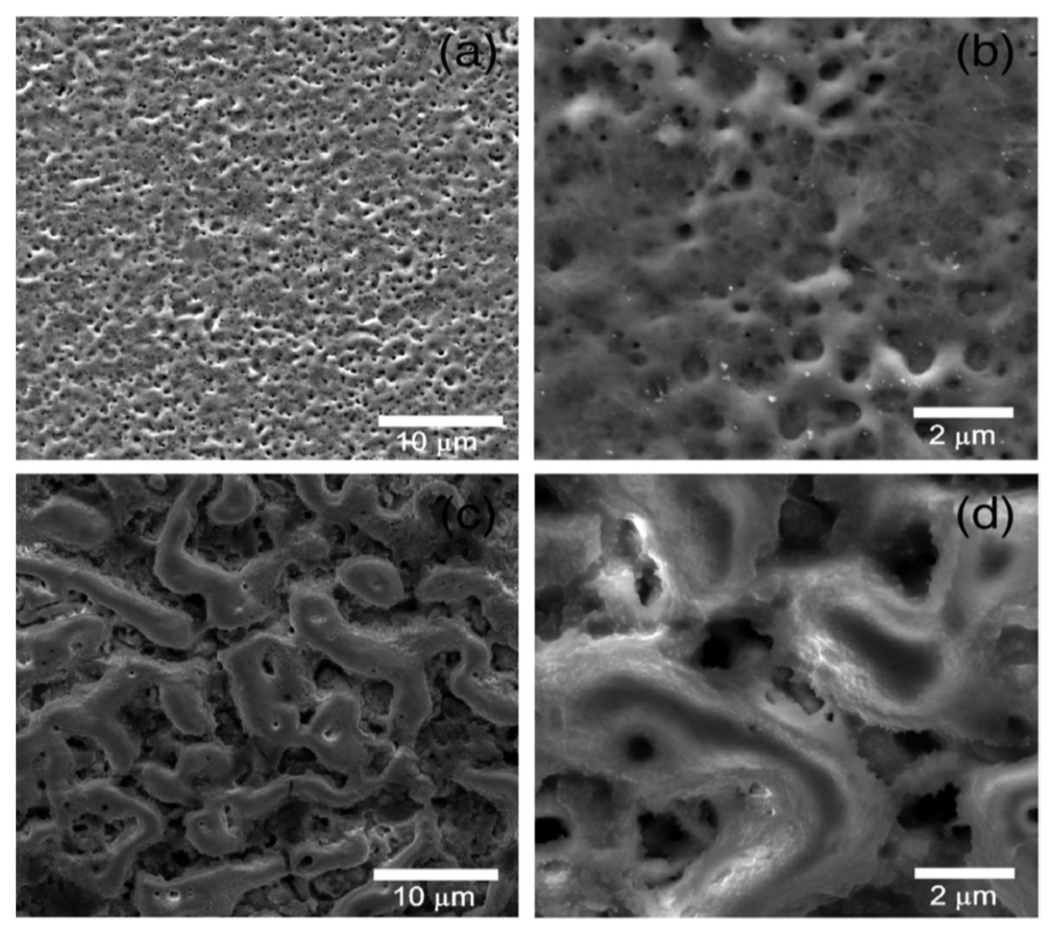 Nanomaterials 12 02319 g014