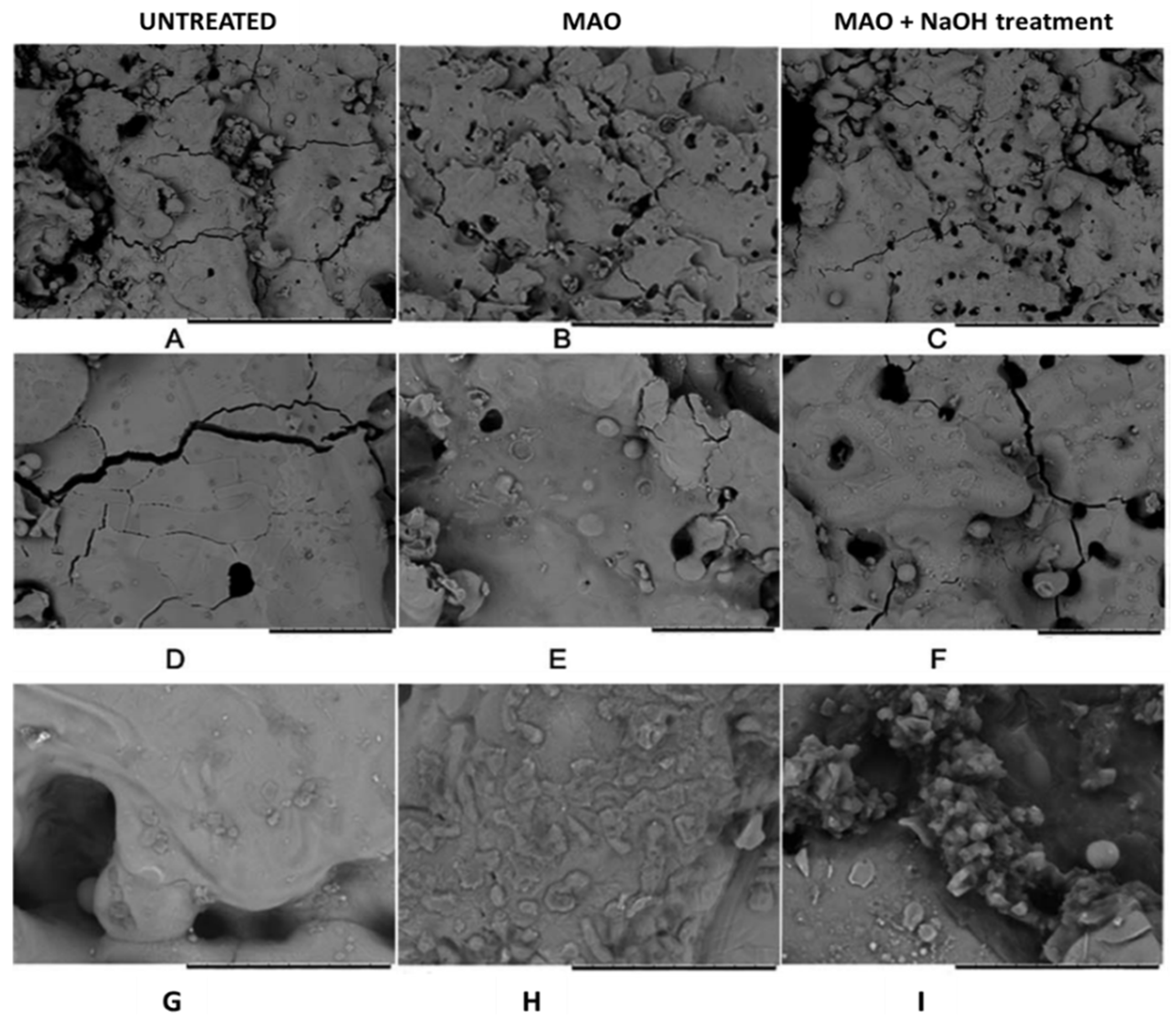 Nanomaterials 12 02319 g015