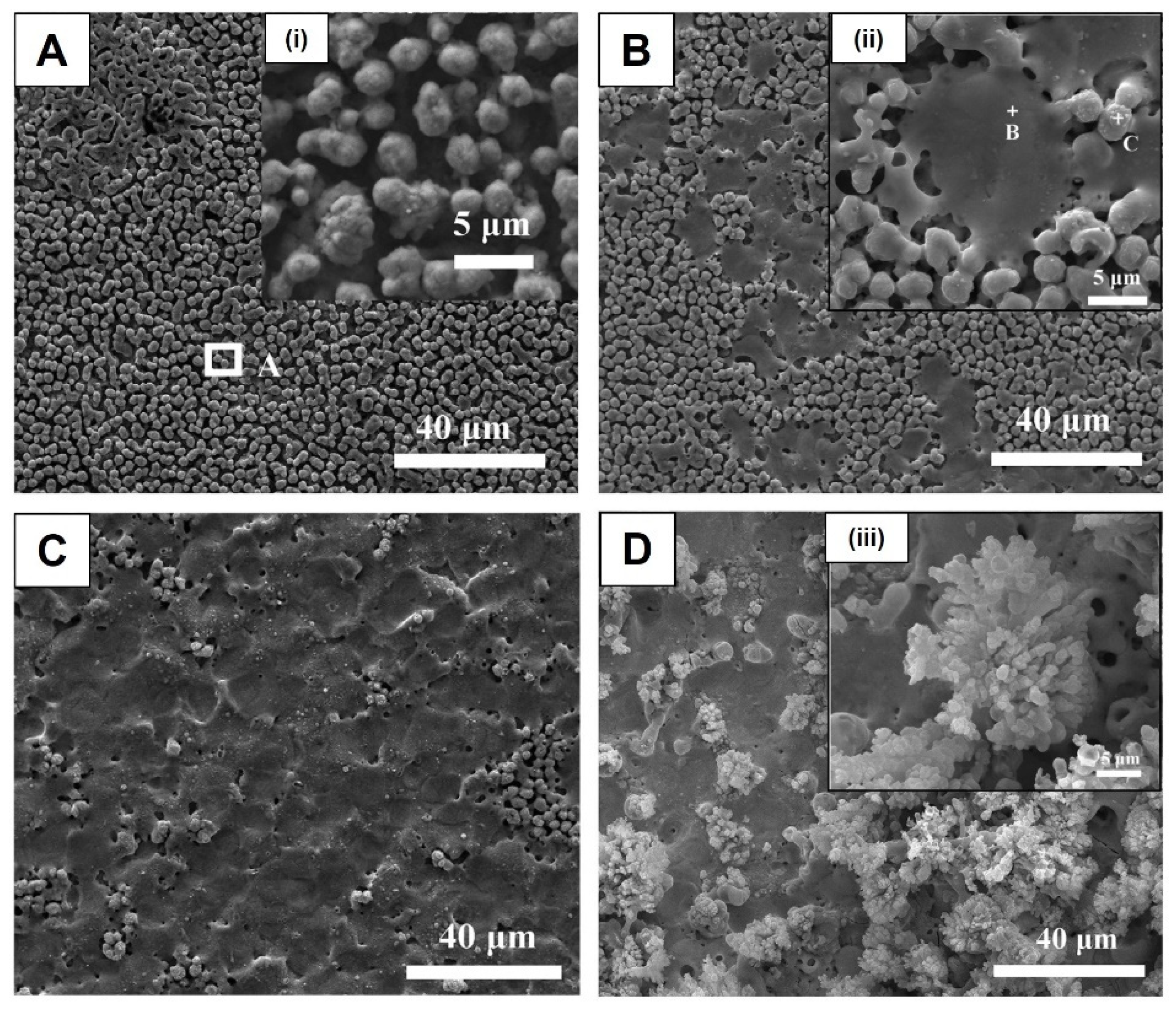 Nanomaterials 12 02319 g016