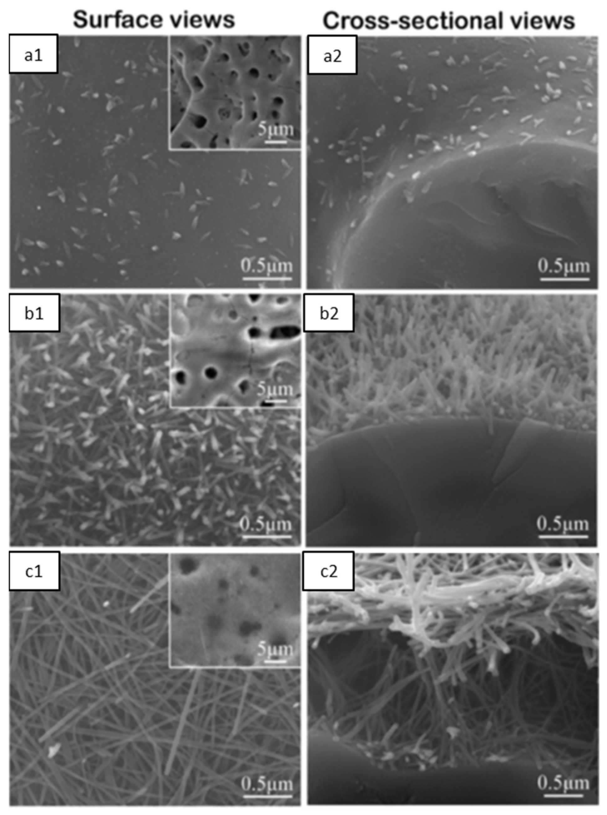 Nanomaterials 12 02319 g017