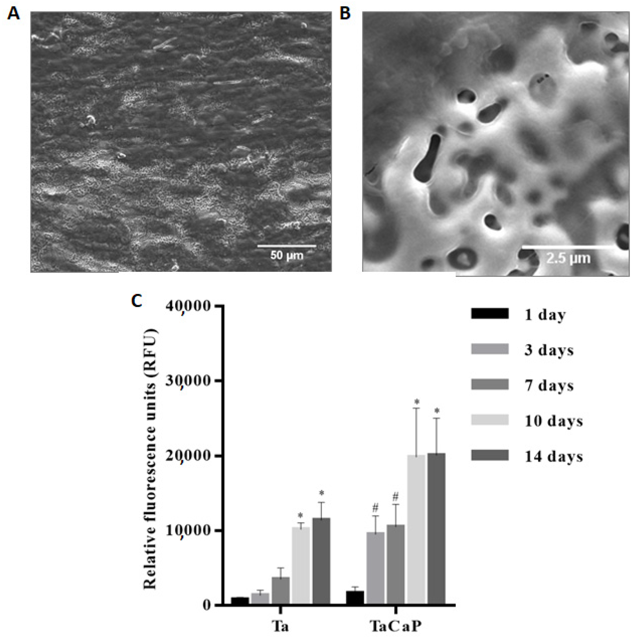 Nanomaterials 12 02319 g019