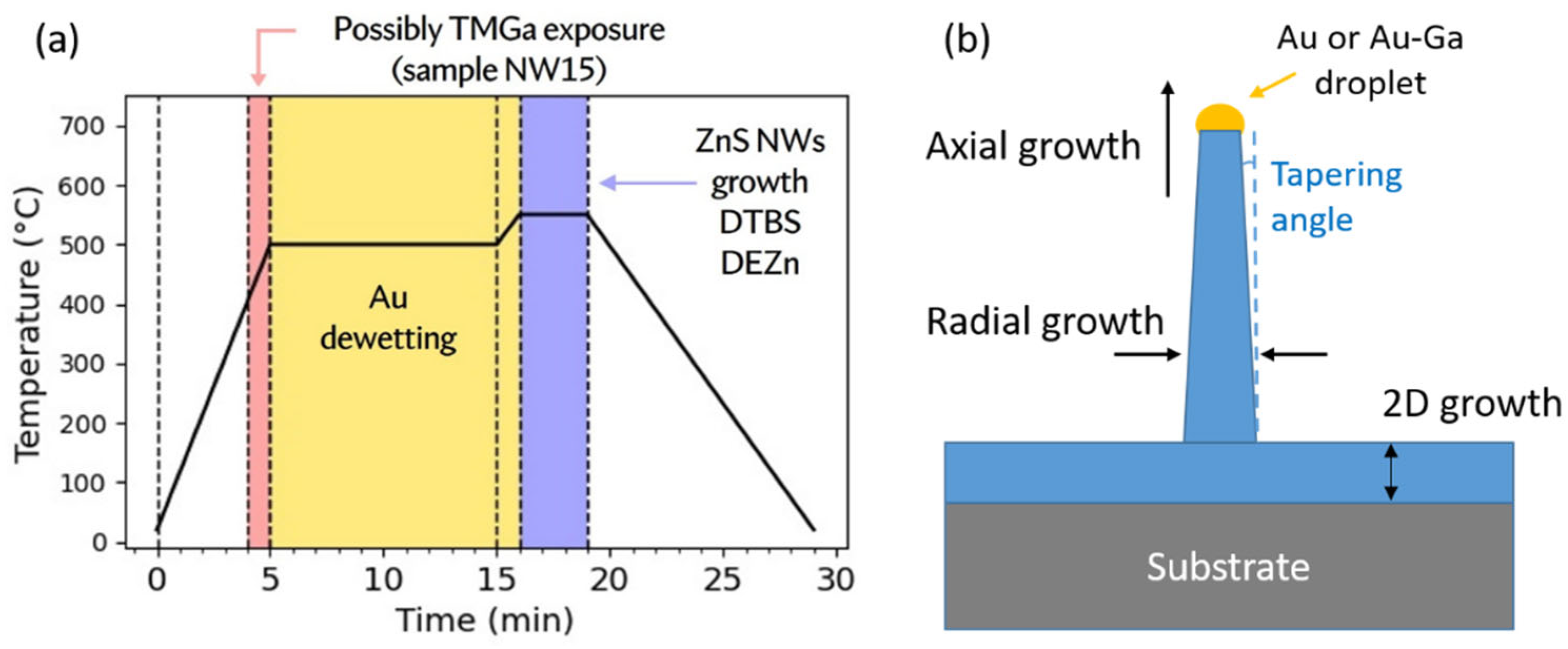 Nanomaterials 12 02323 g004