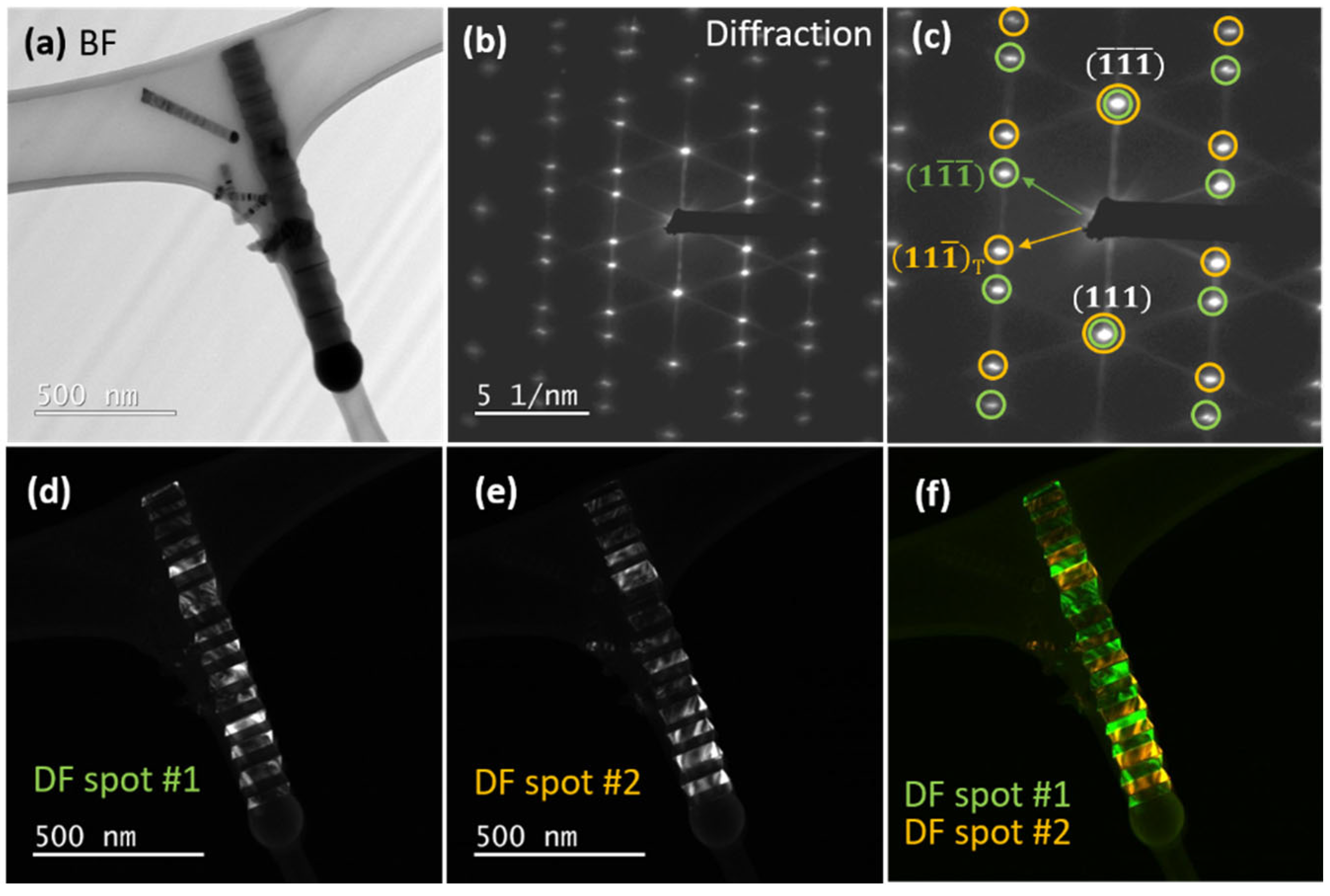 Nanomaterials 12 02323 g015