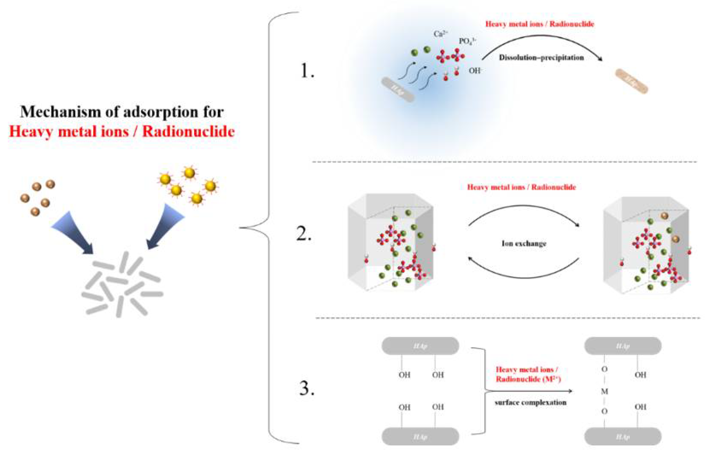 Nanomaterials 12 02324 g002