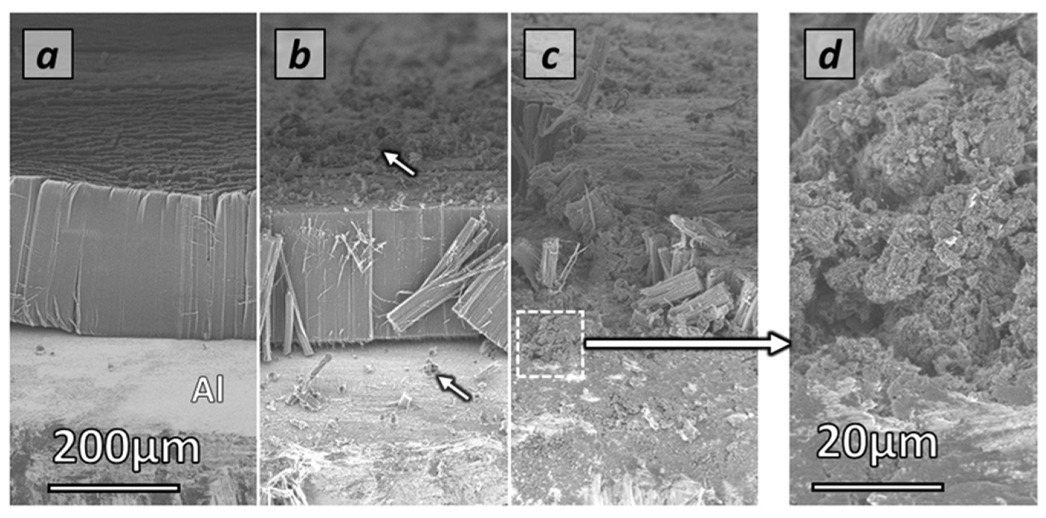 Nanomaterials 12 02338 g002 550