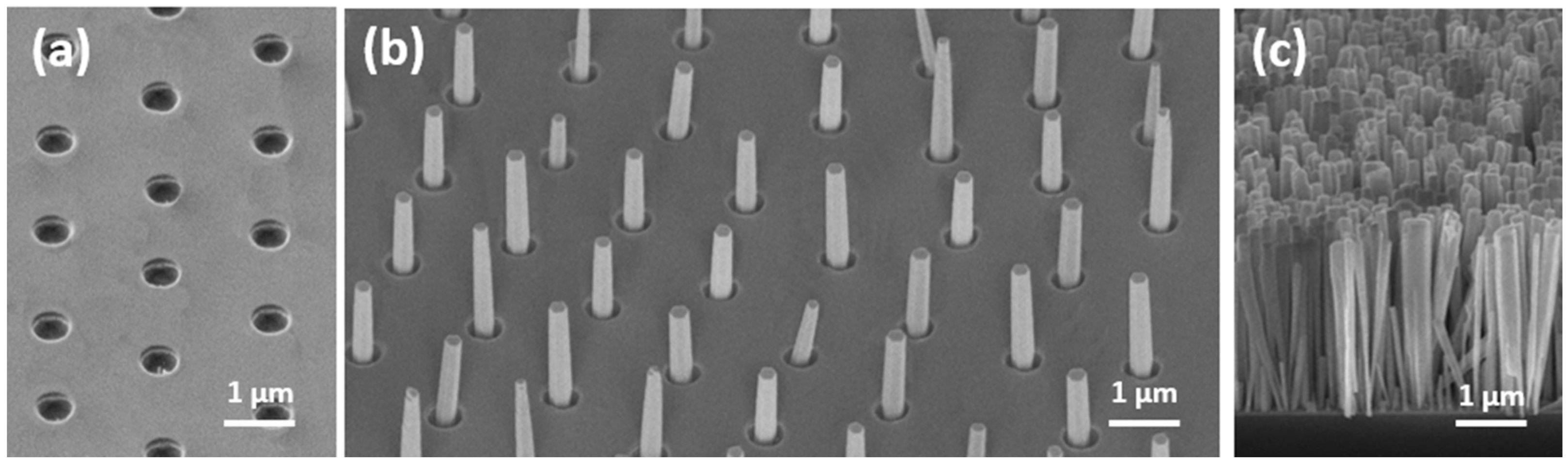 Nanomaterials 12 02341 g002