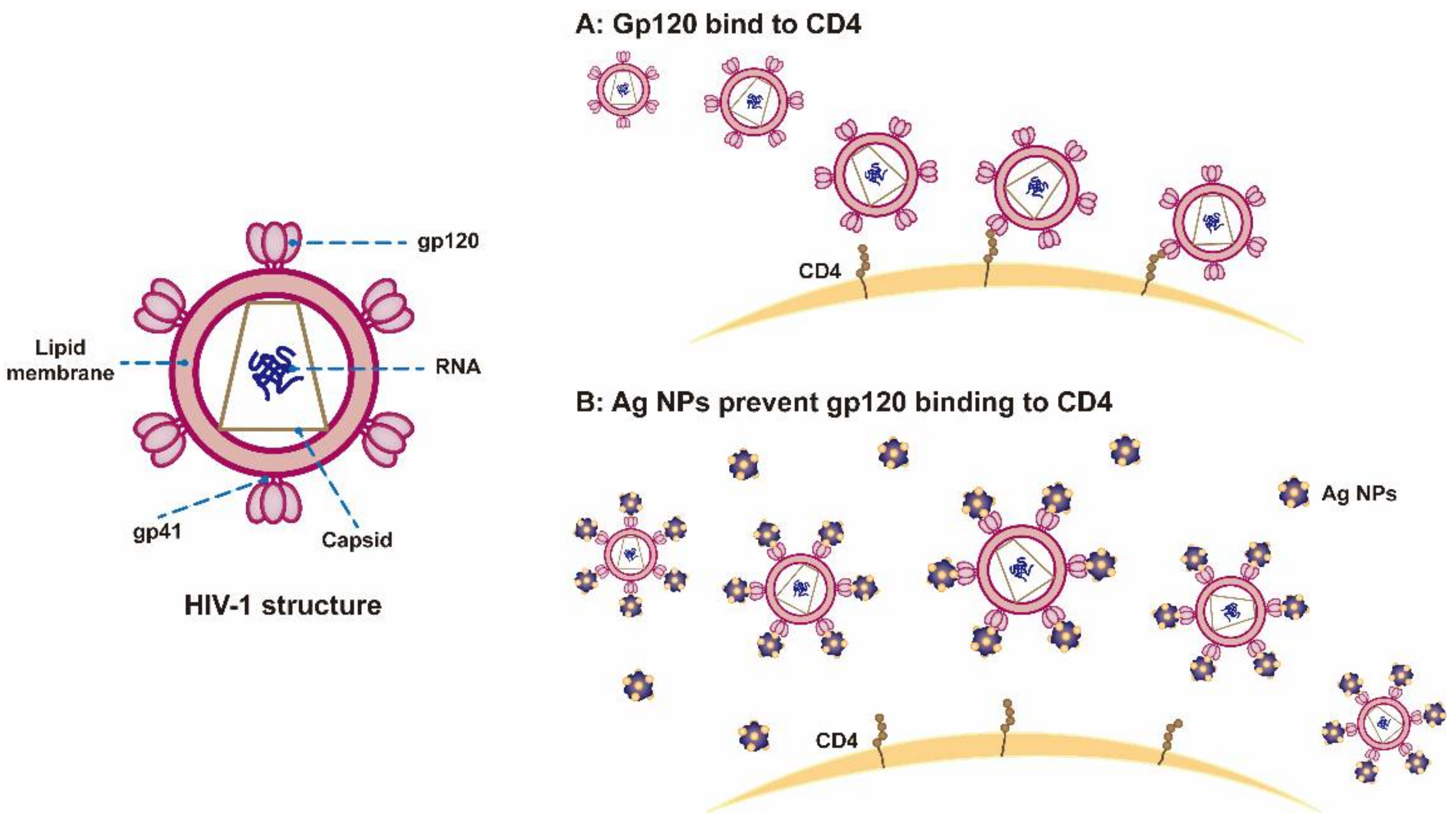 Nanomaterials 12 02345 g004