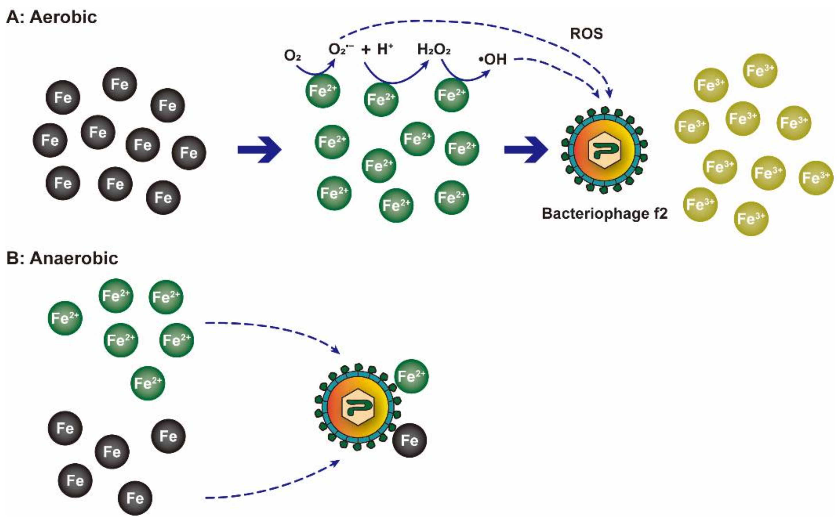 Nanomaterials 12 02345 g005