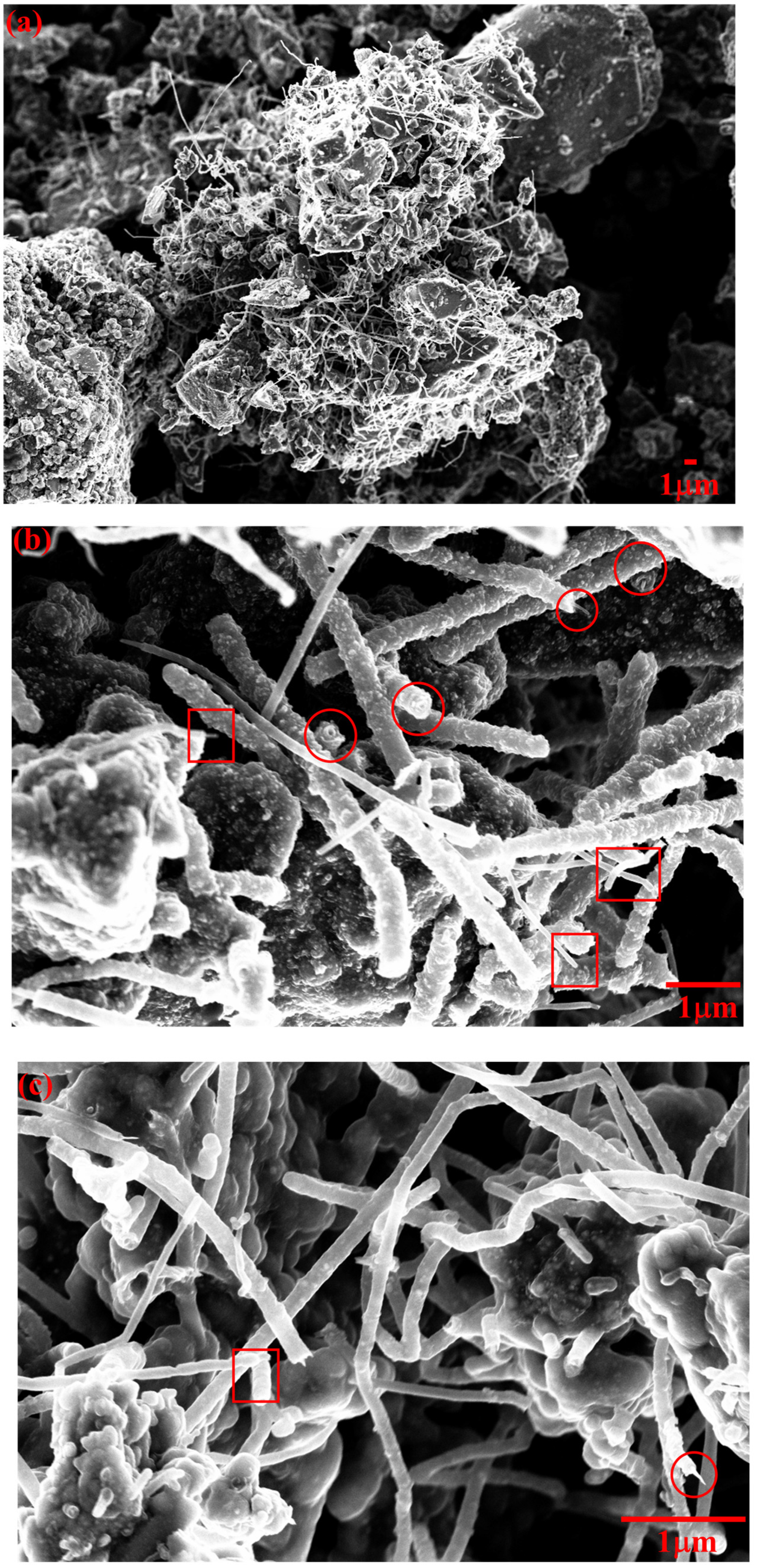 Nanomaterials 12 02346 g003 550