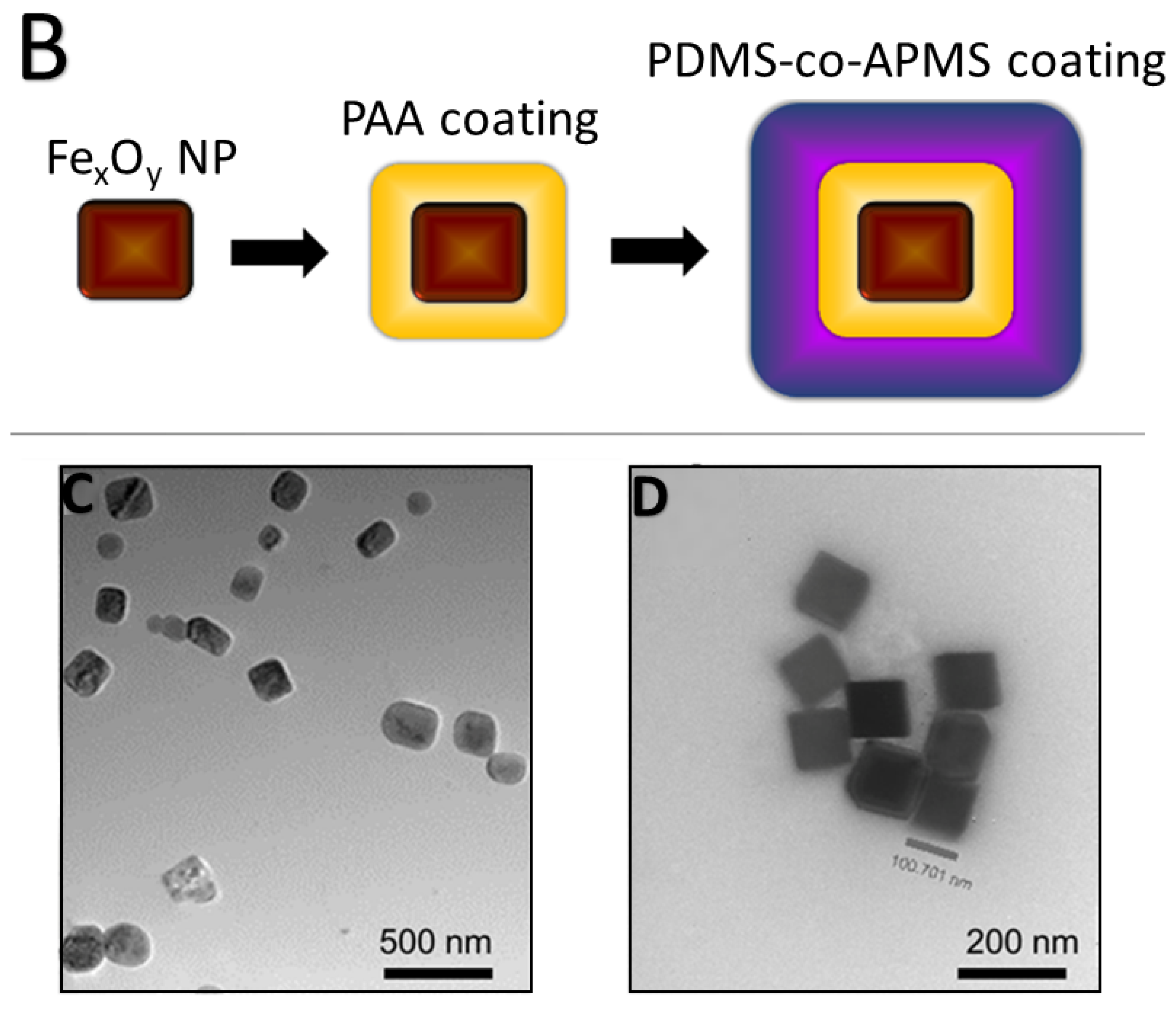 Nanomaterials 12 02348 g001b