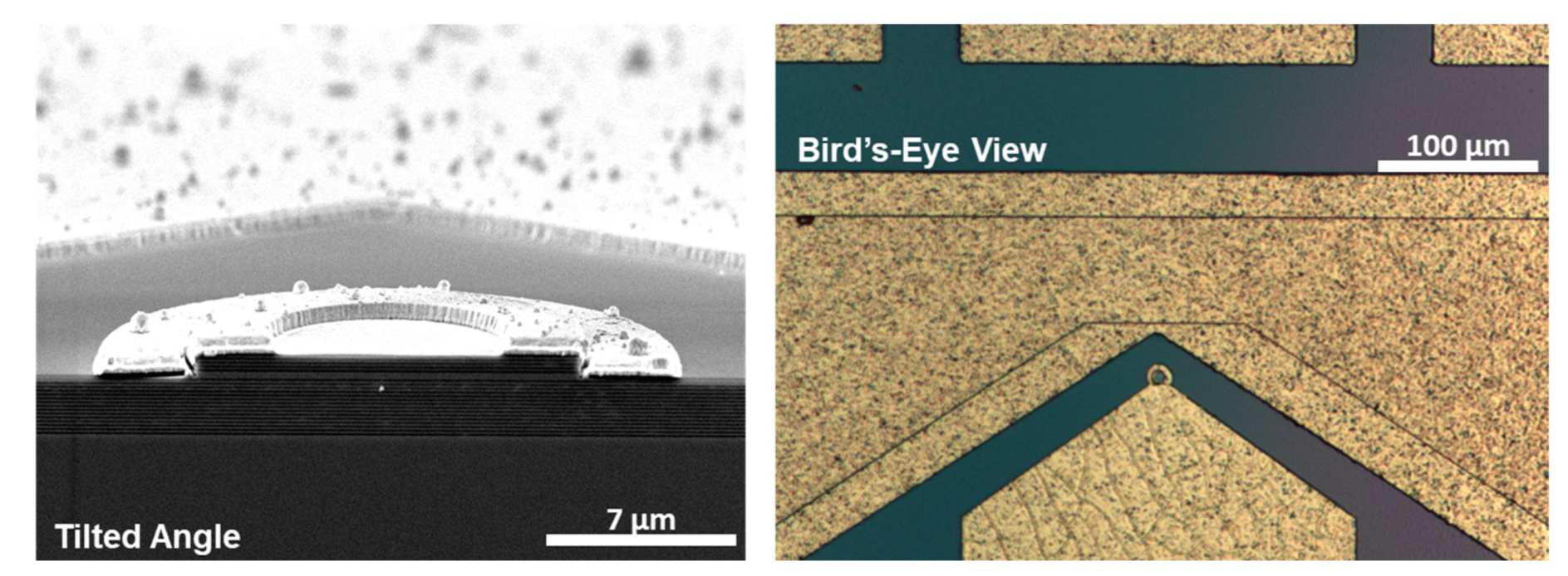 Nanomaterials 12 02358 g008 550