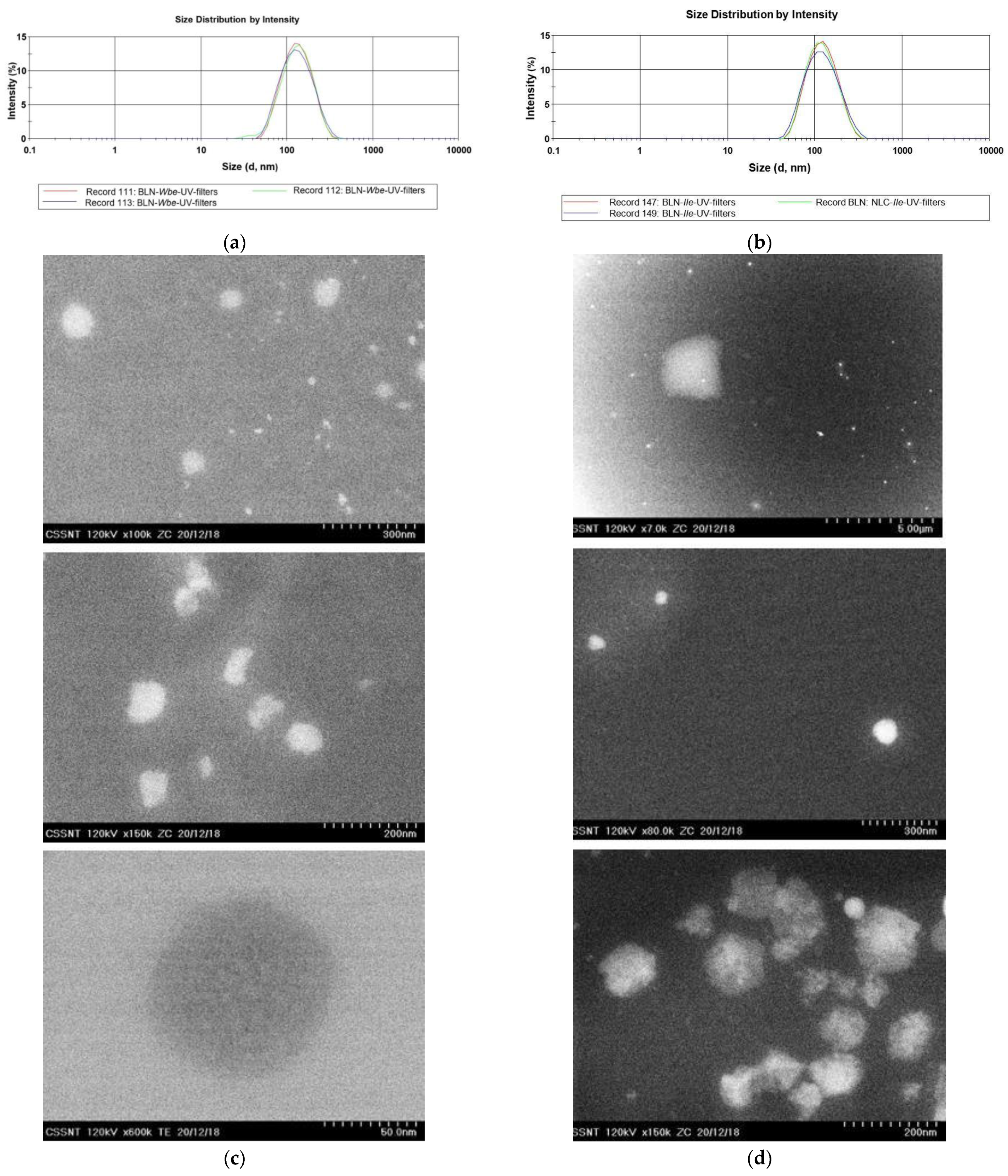 Nanomaterials 12 02362 g001