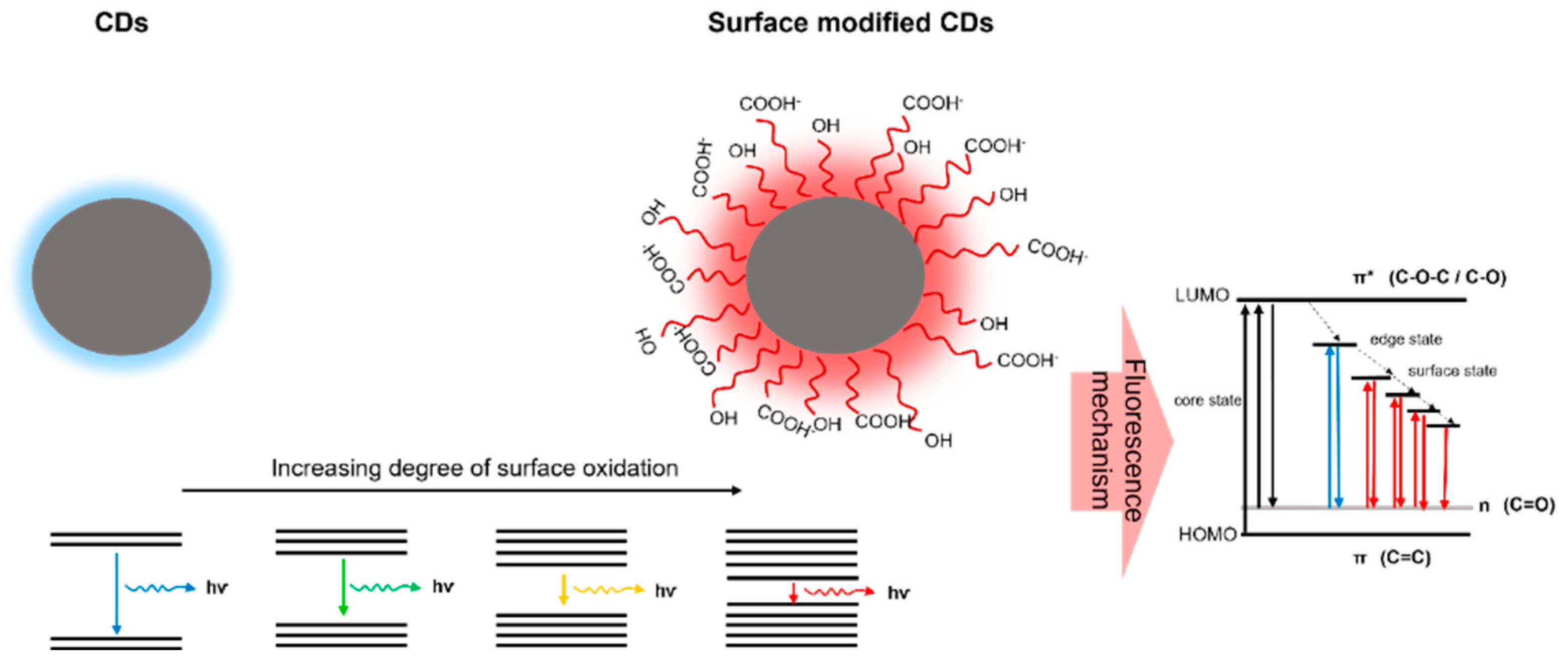 その他 CD A Review on Carbon Dots: Synthesis, Characterization and Its