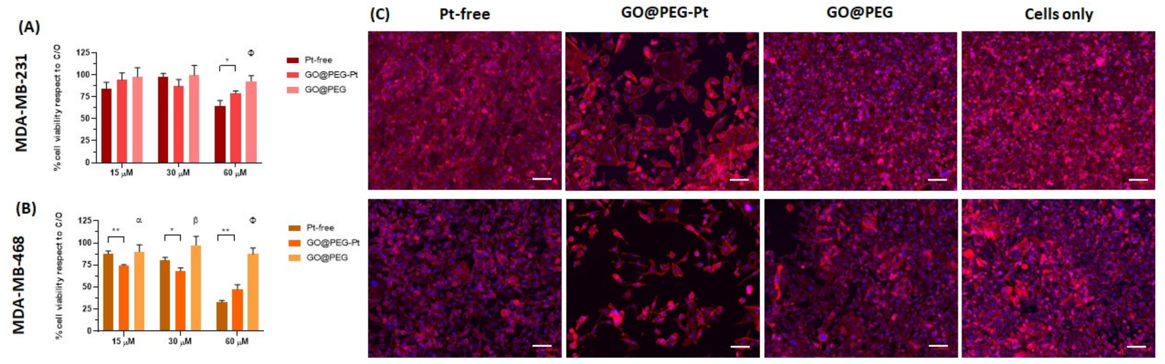 Nanomaterials 12 02372 g005