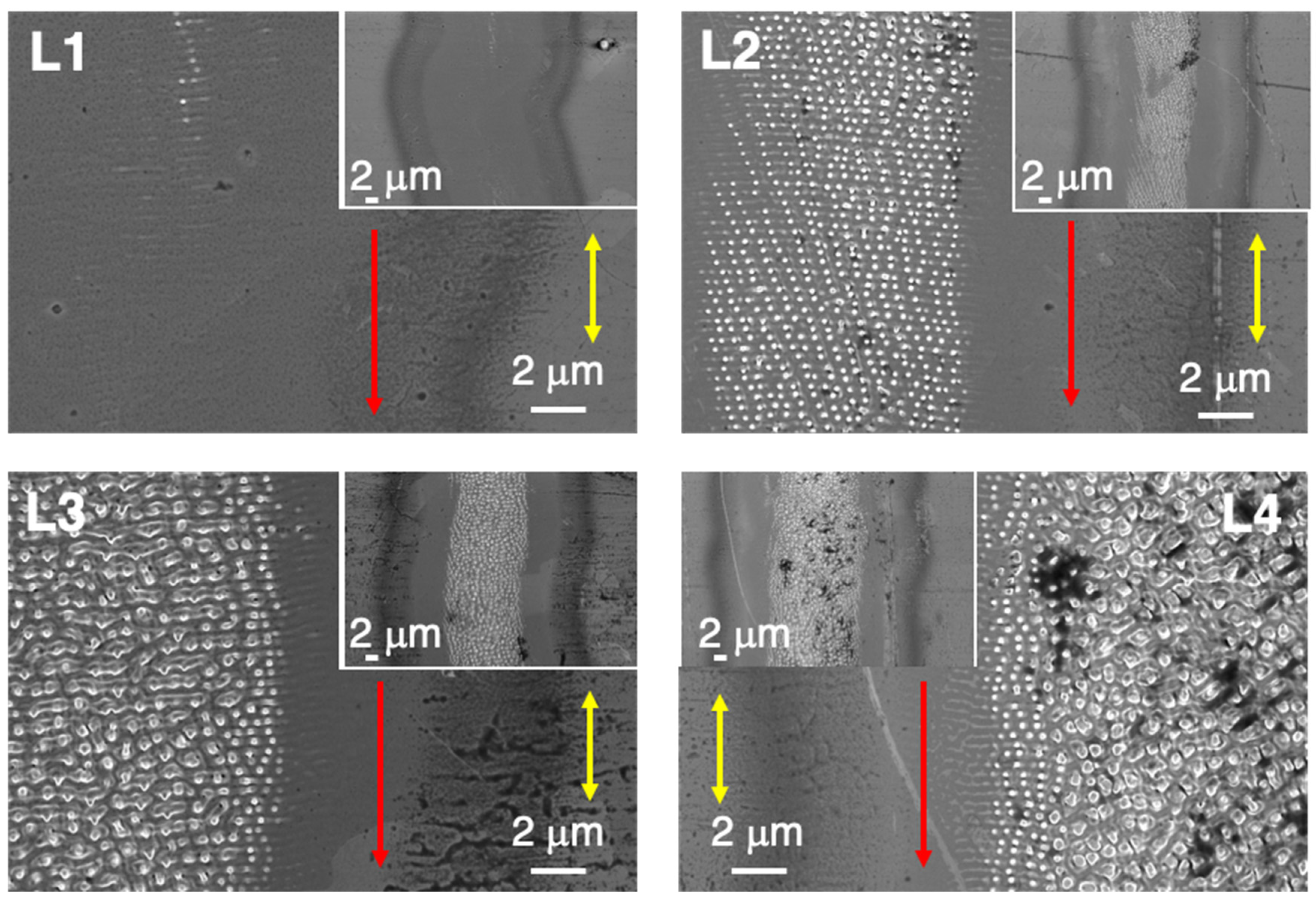 Nanomaterials 12 02380 g004 550