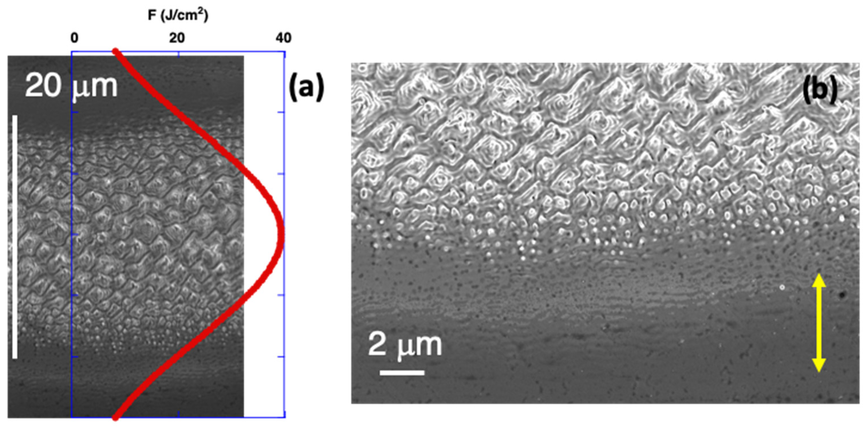 Nanomaterials 12 02380 g005 550