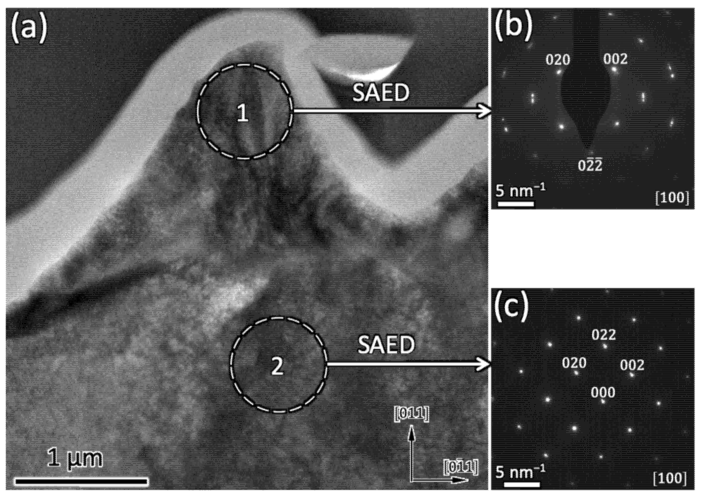 Nanomaterials 12 02380 g010 550