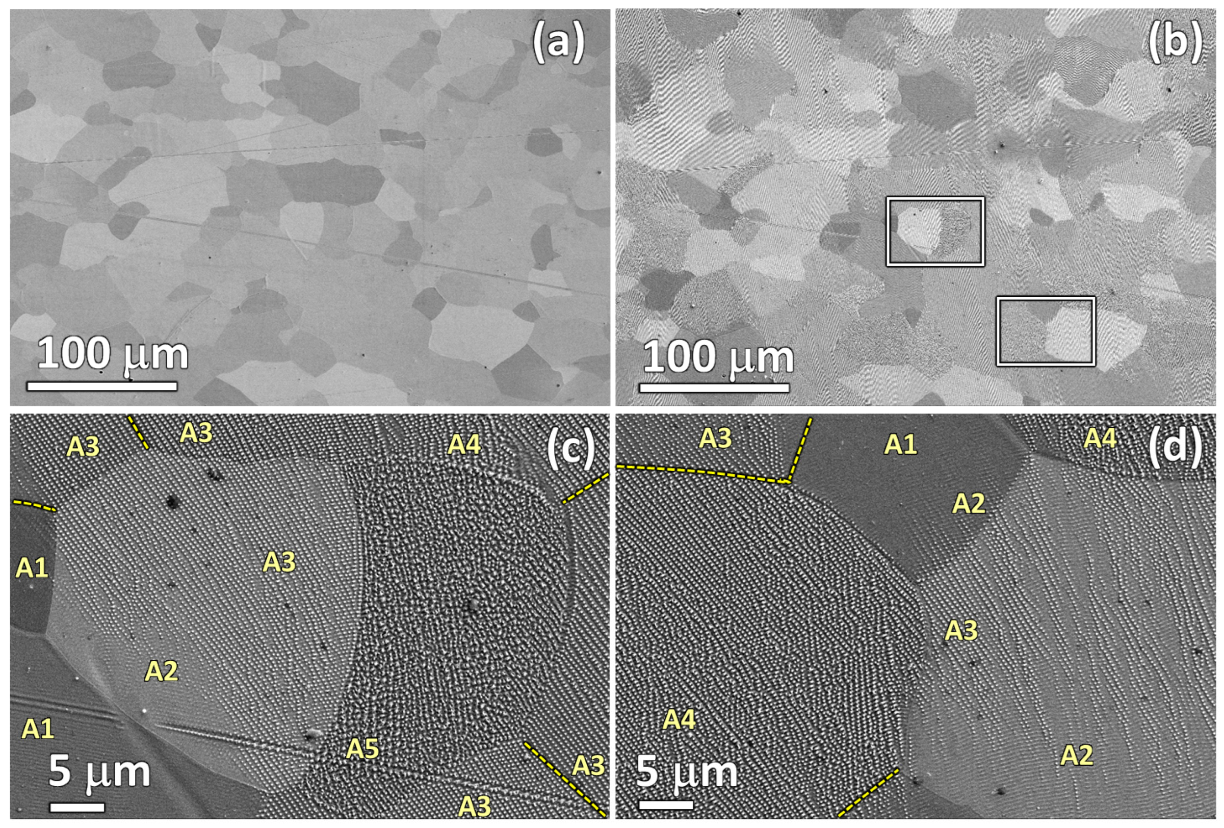 Nanomaterials 12 02380 g011 550
