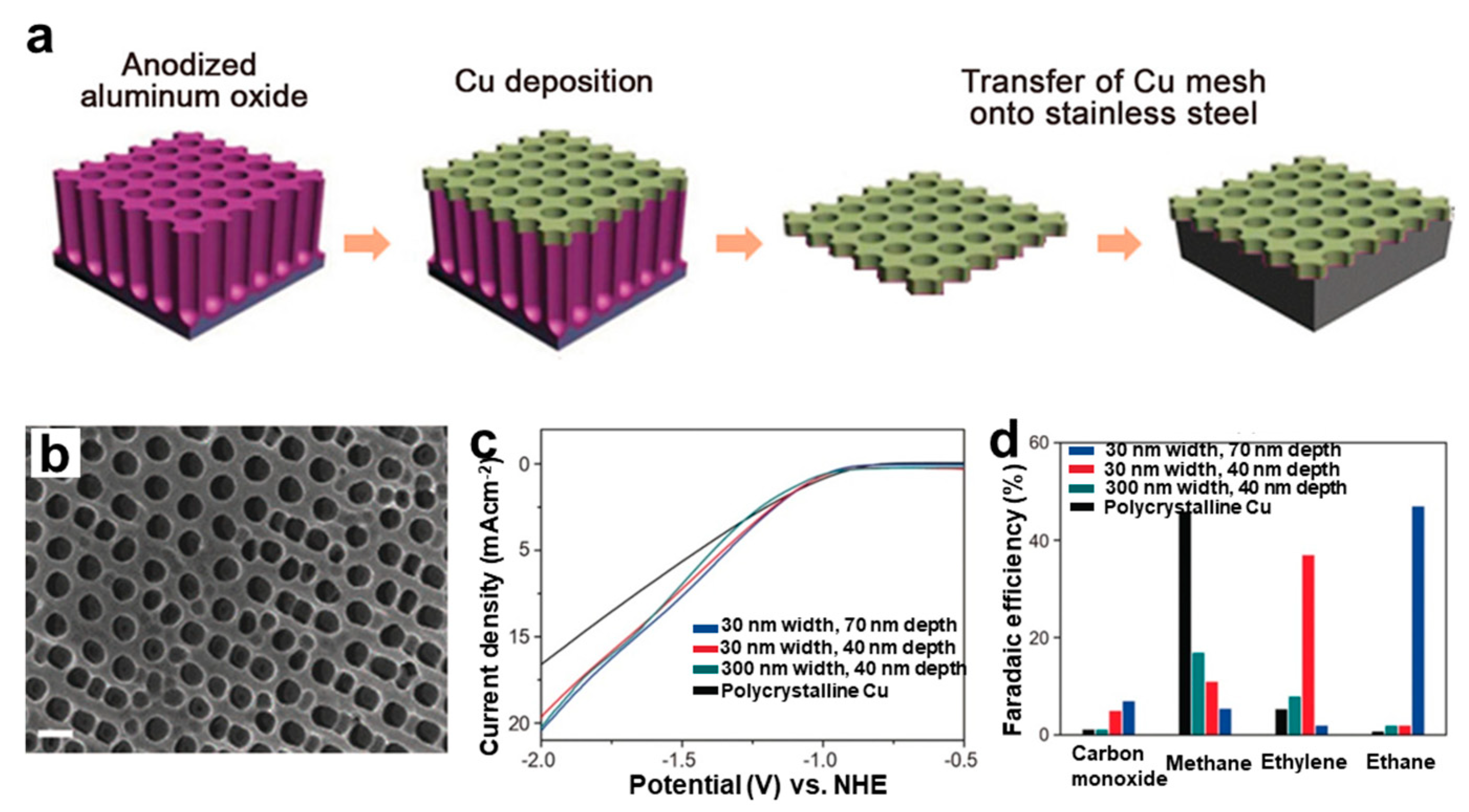Nanomaterials 12 02389 g012