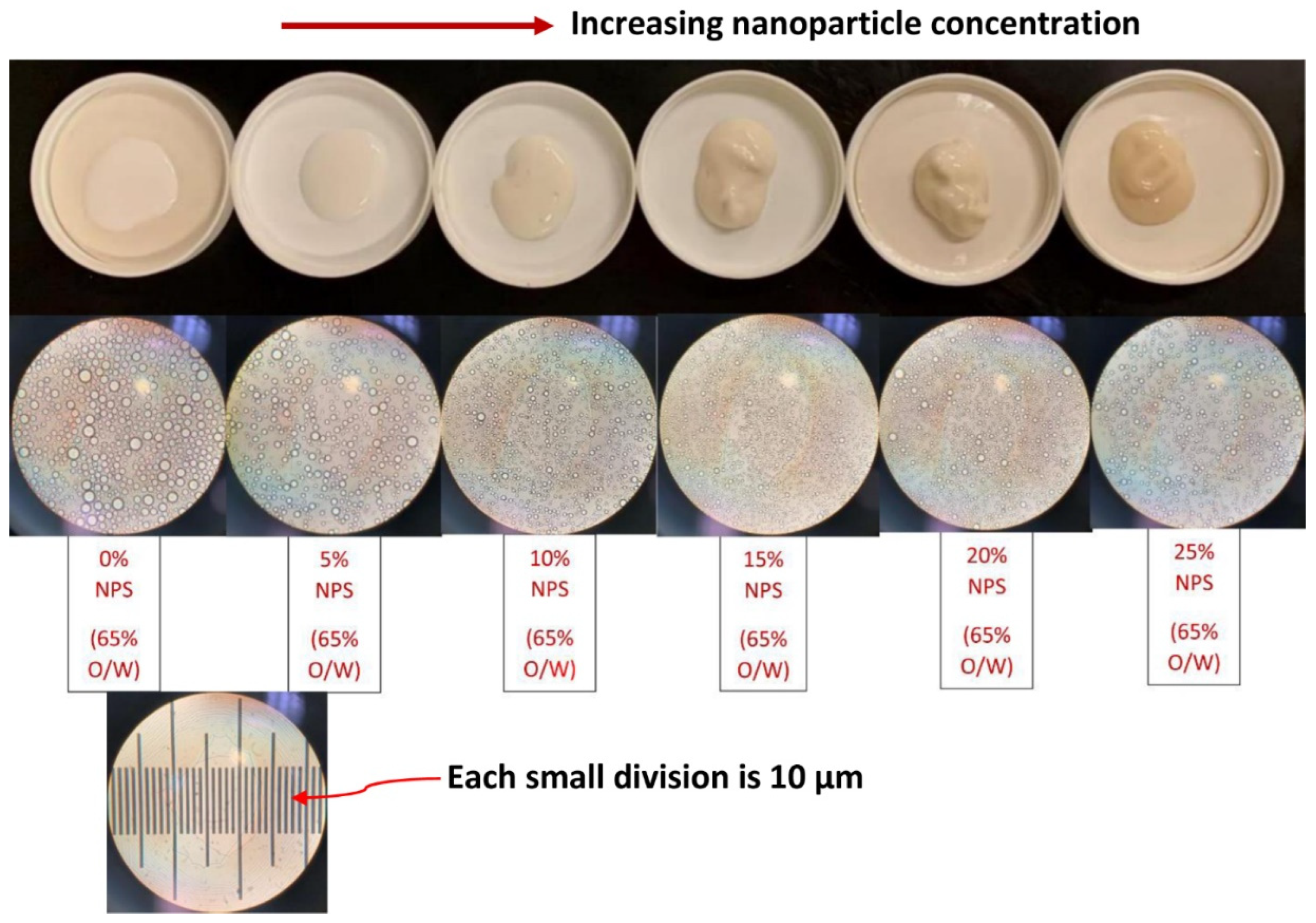 Nanomaterials 12 02391 g015