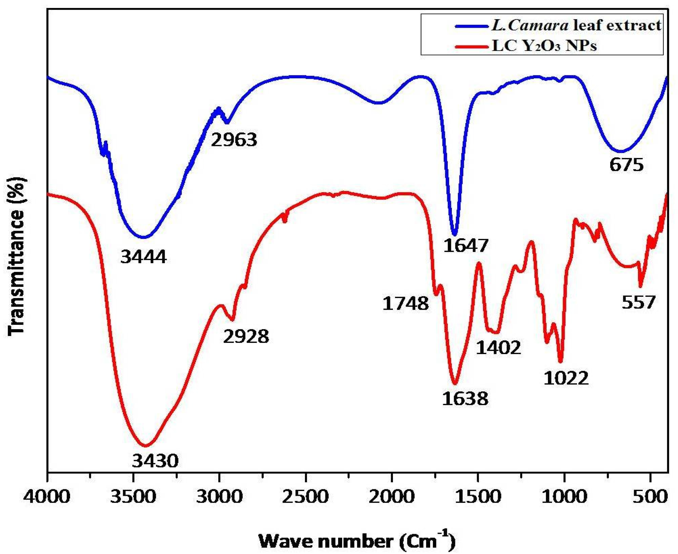 Nanomaterials 12 02393 g002