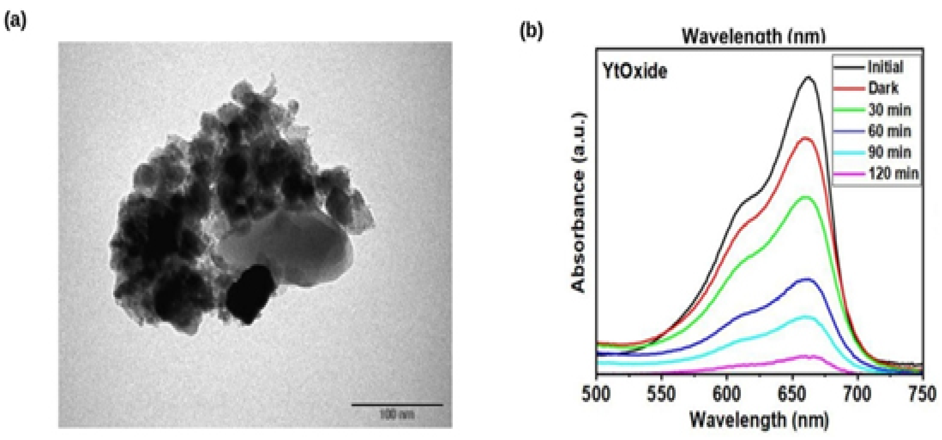 Nanomaterials 12 02393 g004
