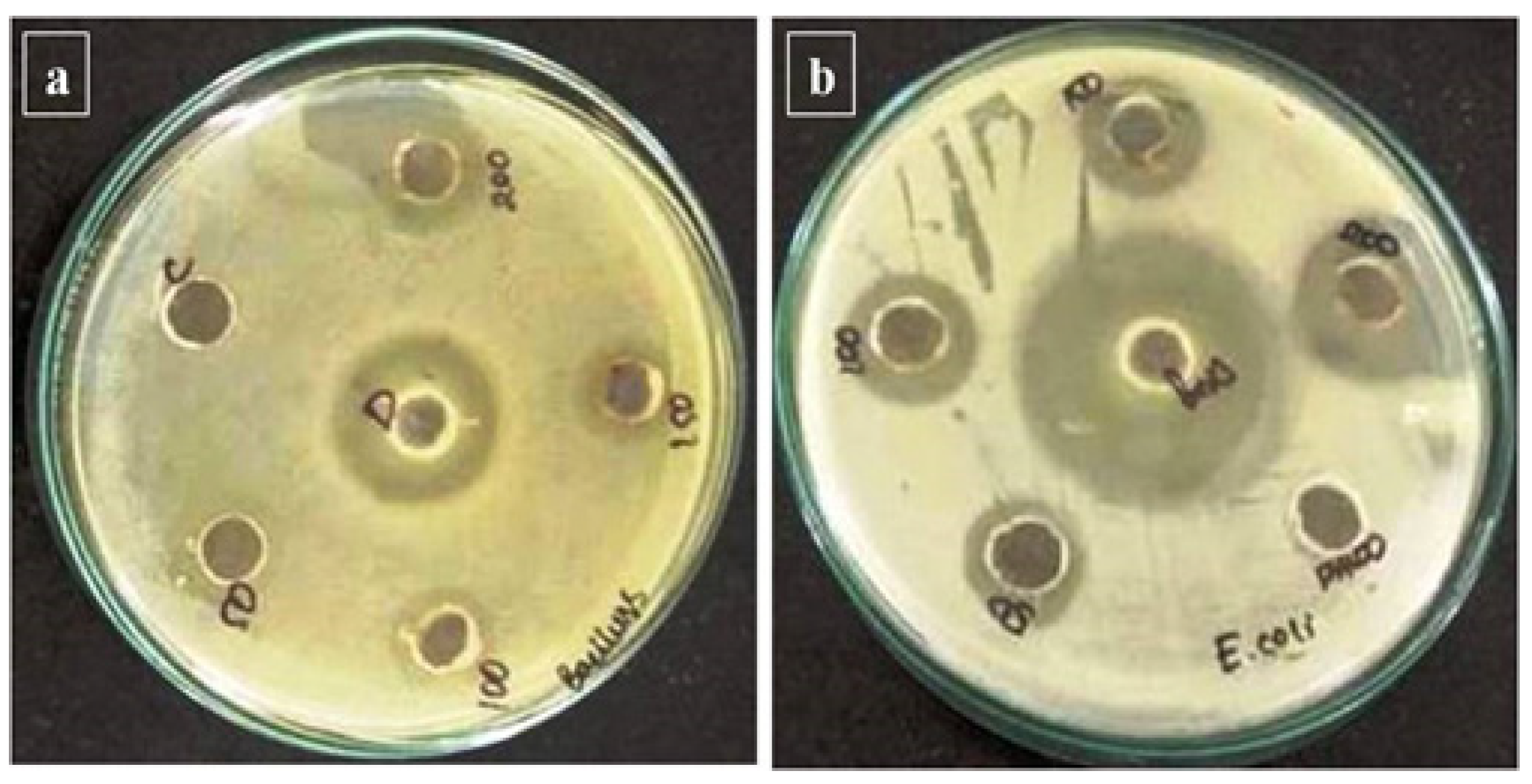 Nanomaterials 12 02393 g005