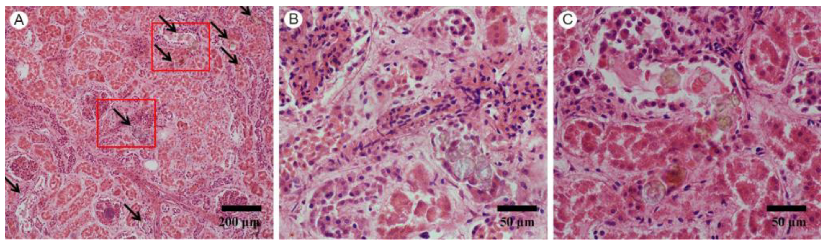 Nanomaterials 12 02395 g001 Nanomaterials 12 02395 g001