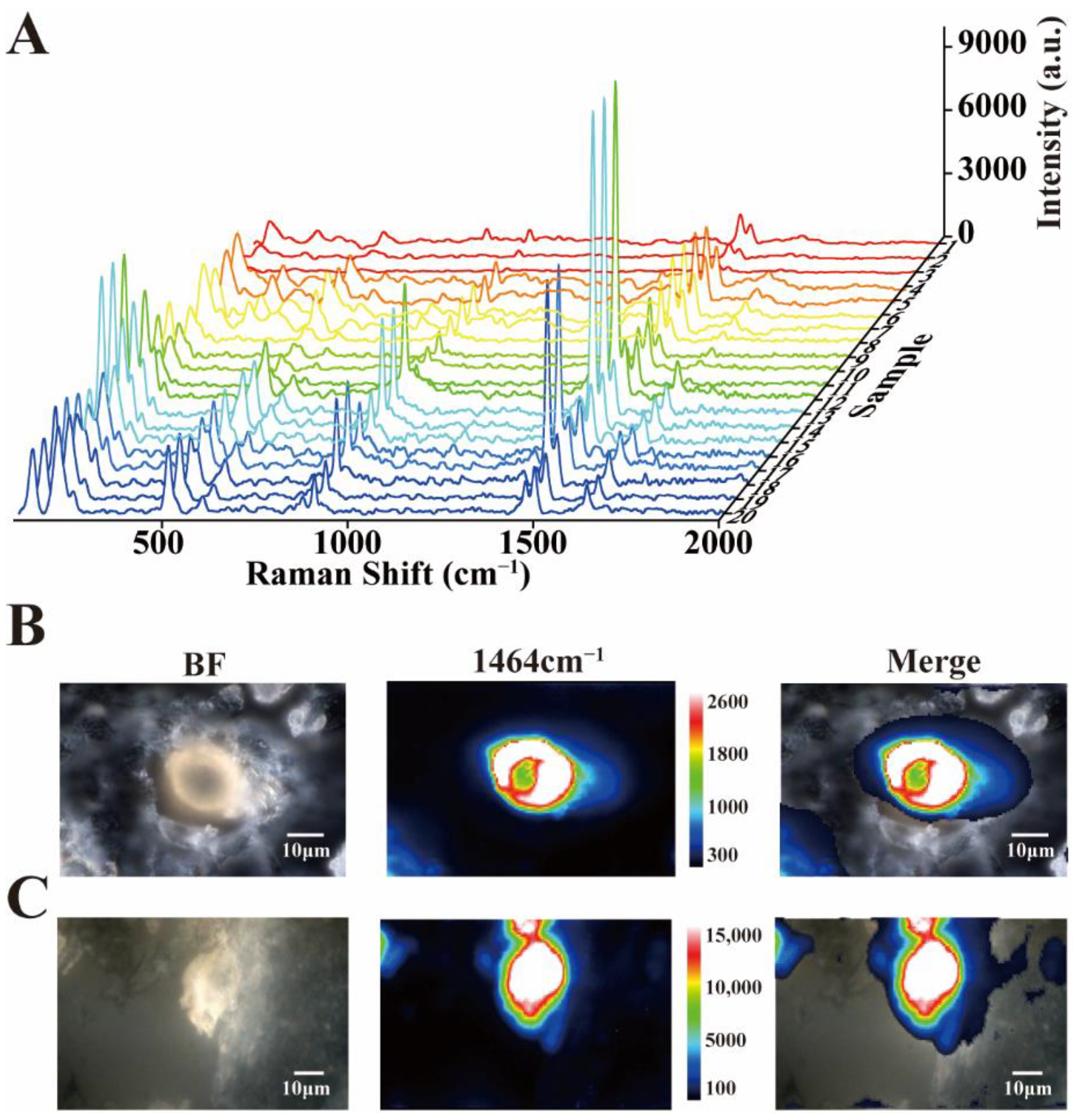 Nanomaterials 12 02395 g003 Nanomaterials 12 02395 g003