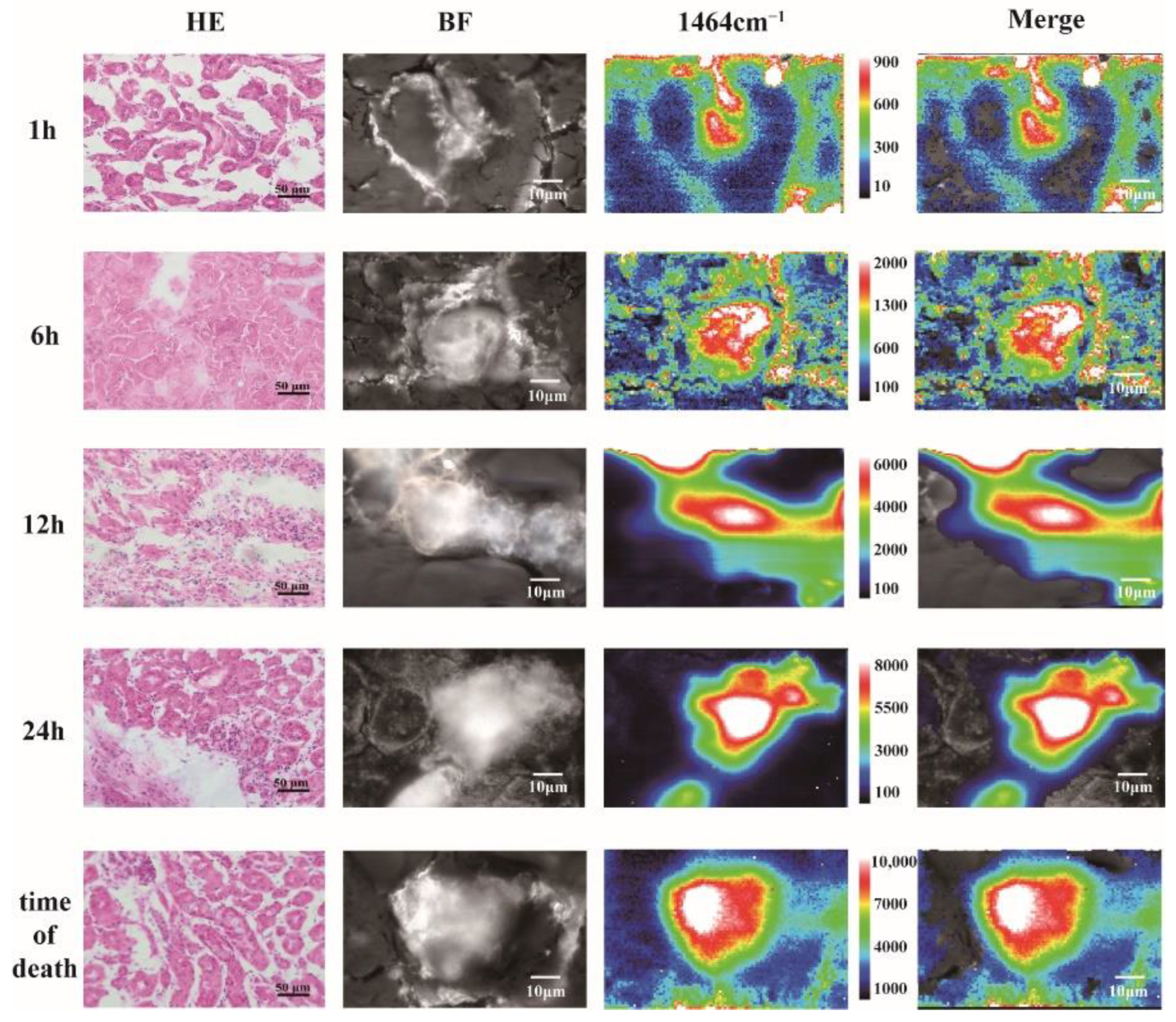 Nanomaterials 12 02395 g004 Nanomaterials 12 02395 g004