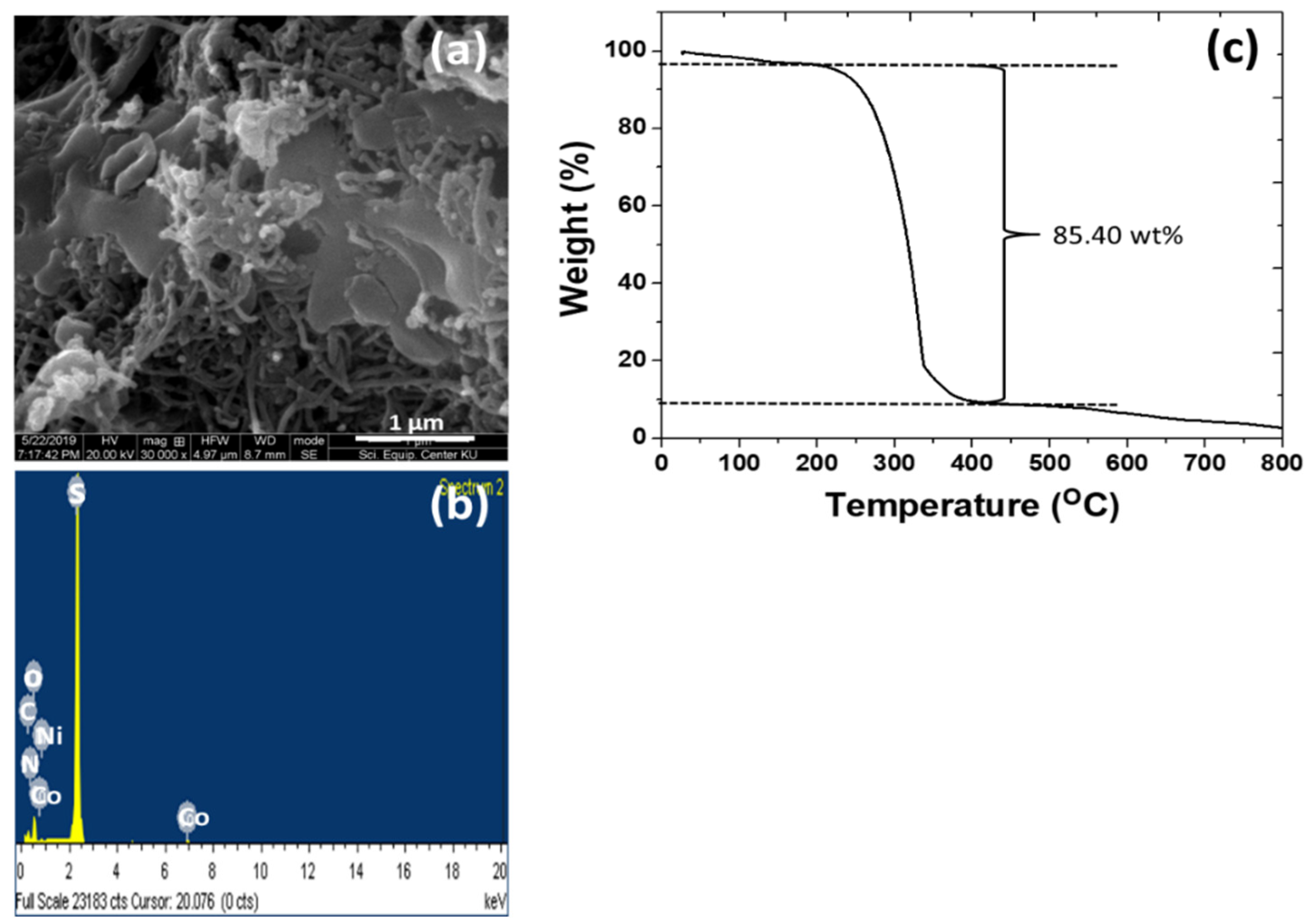 Nanomaterials 12 02403 g009