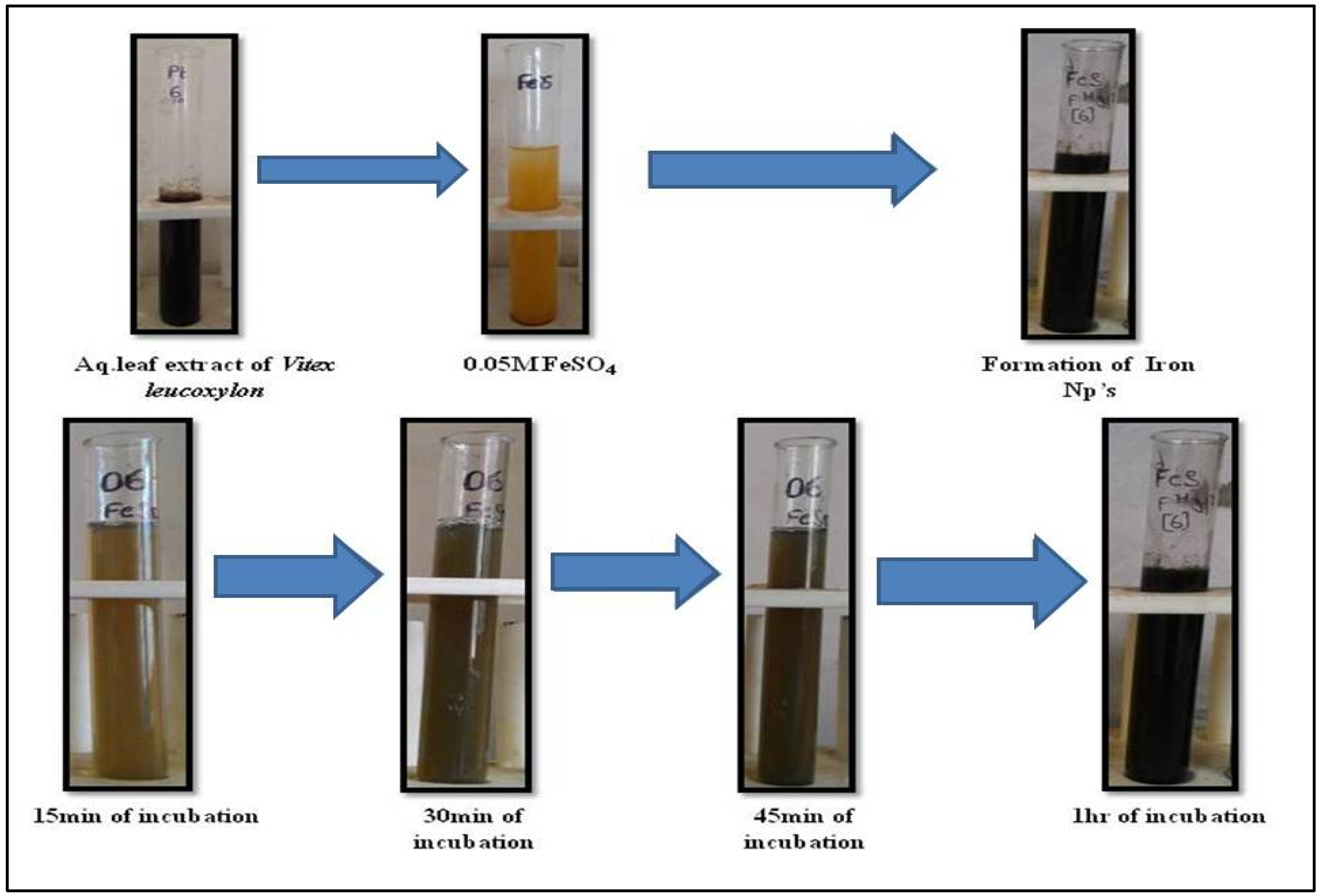 Nanomaterials 12 02404 g001 550