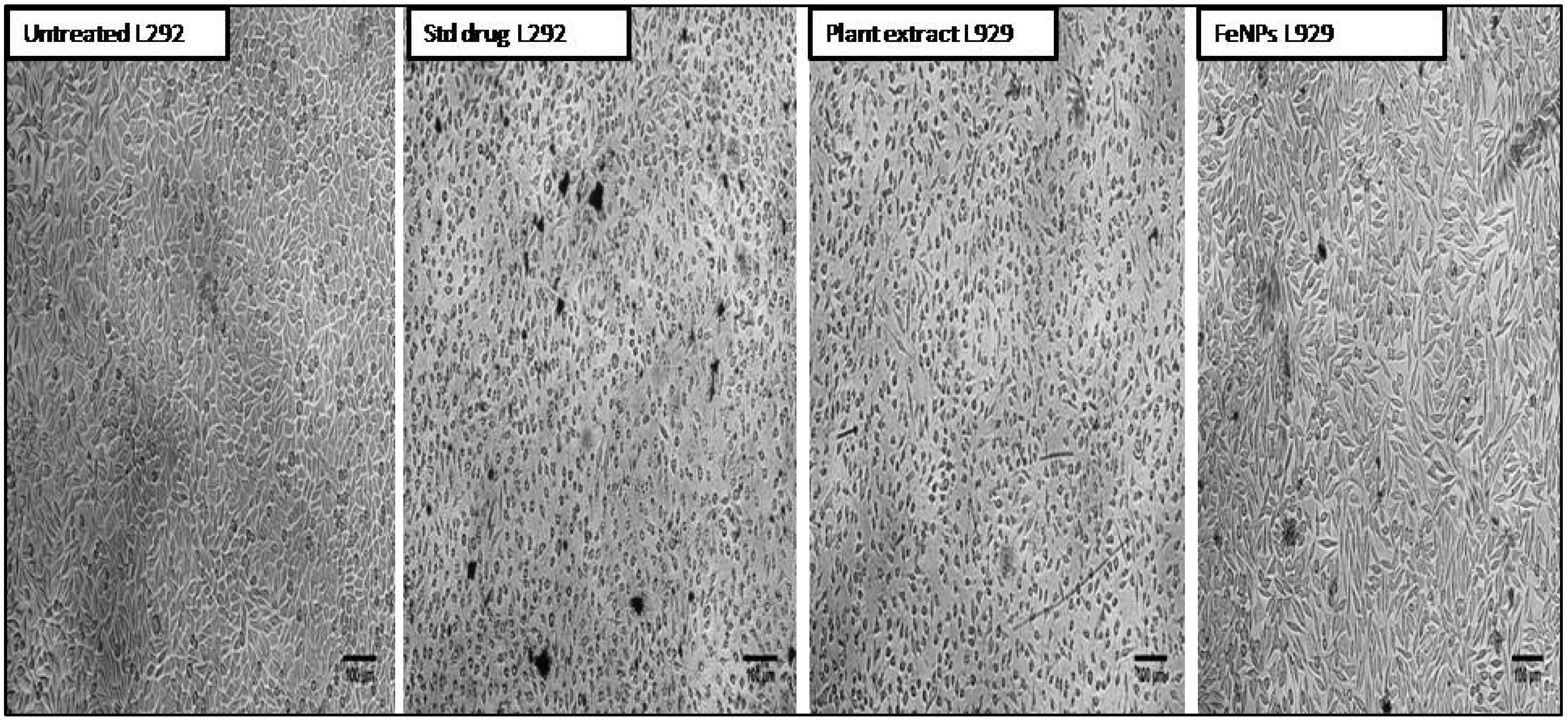 Nanomaterials 12 02404 g013 550