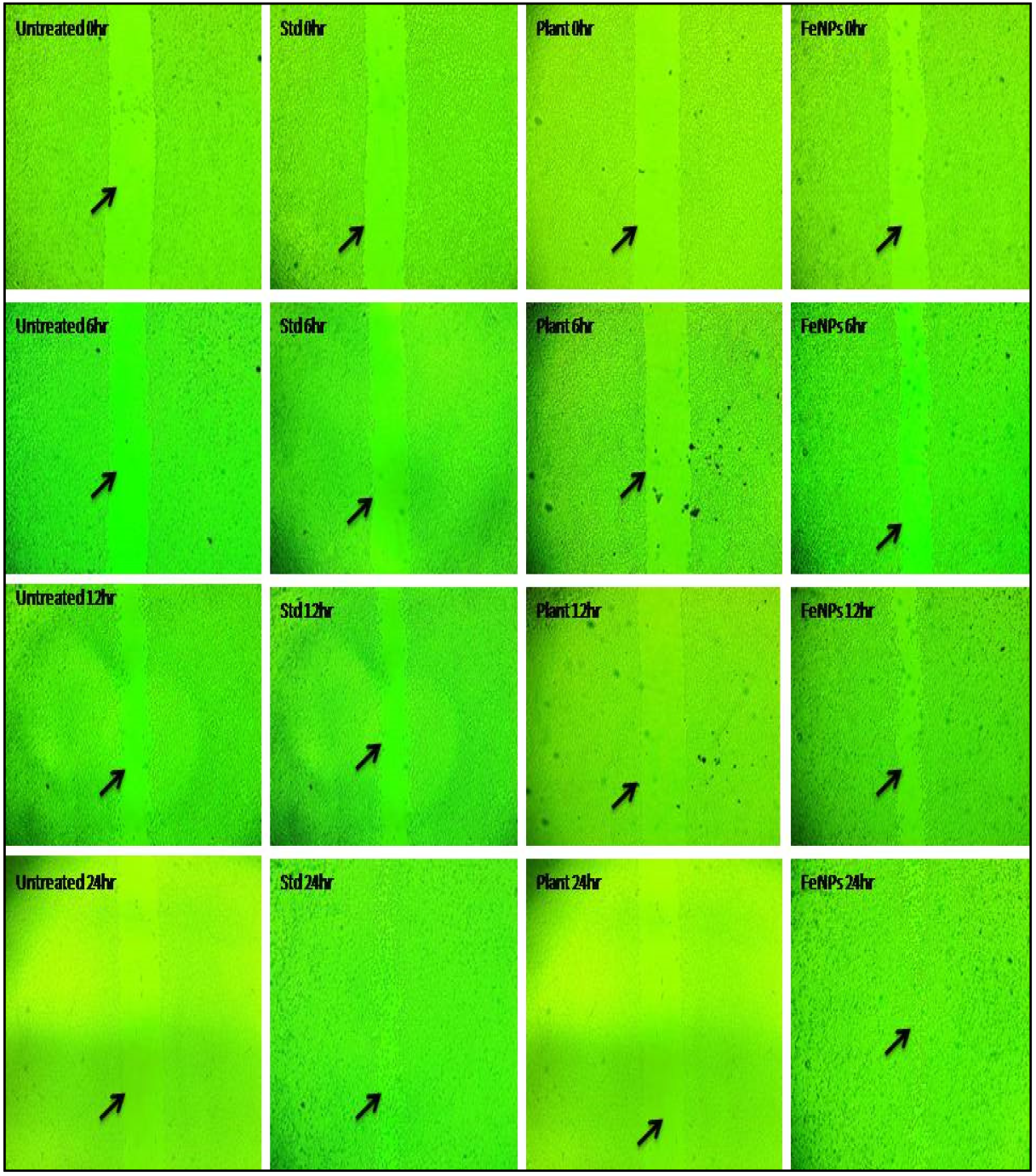 Nanomaterials 12 02404 g017 550