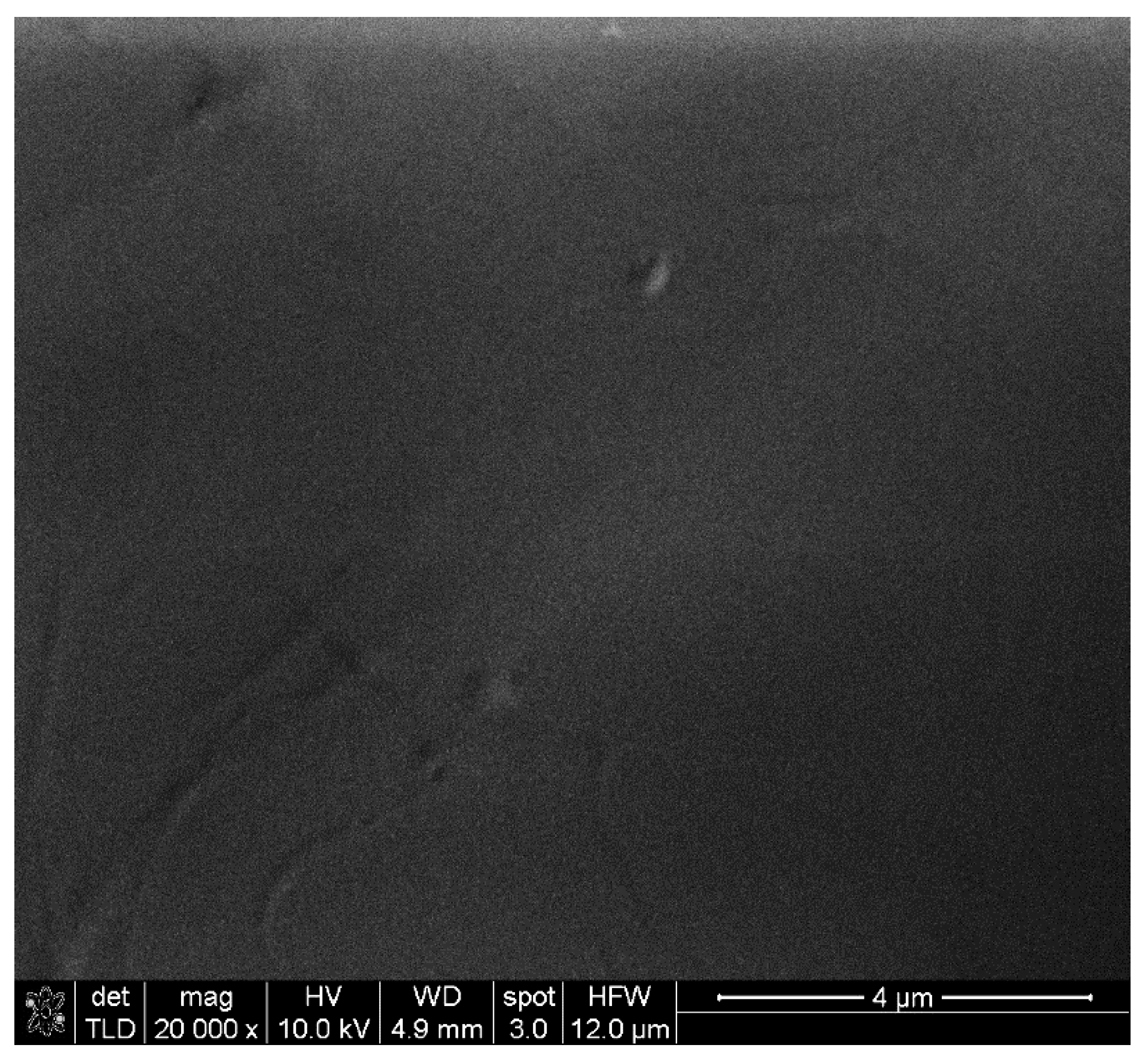 Nanomaterials 12 02411 g004 550