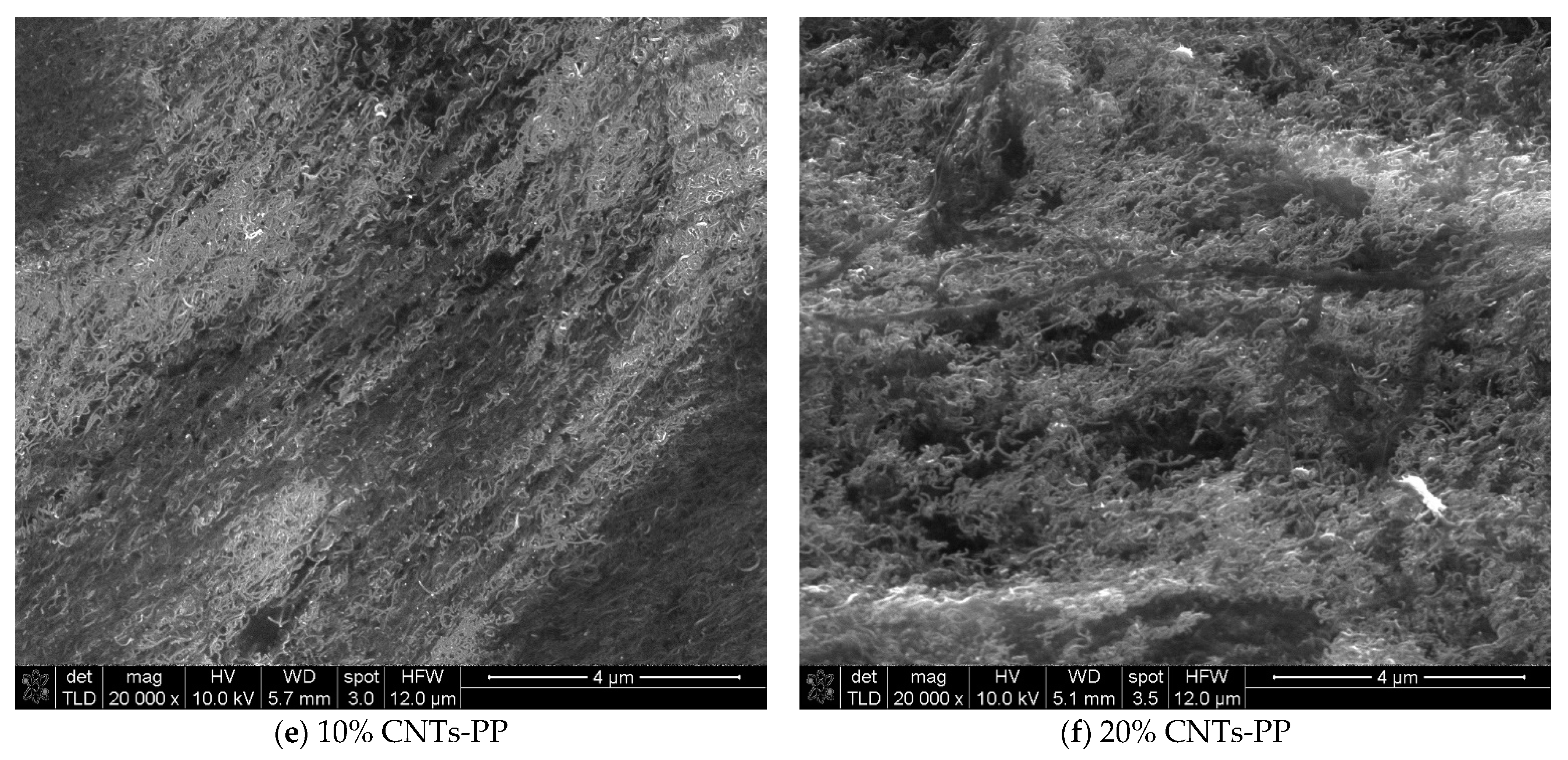 Nanomaterials 12 02411 g005b 550