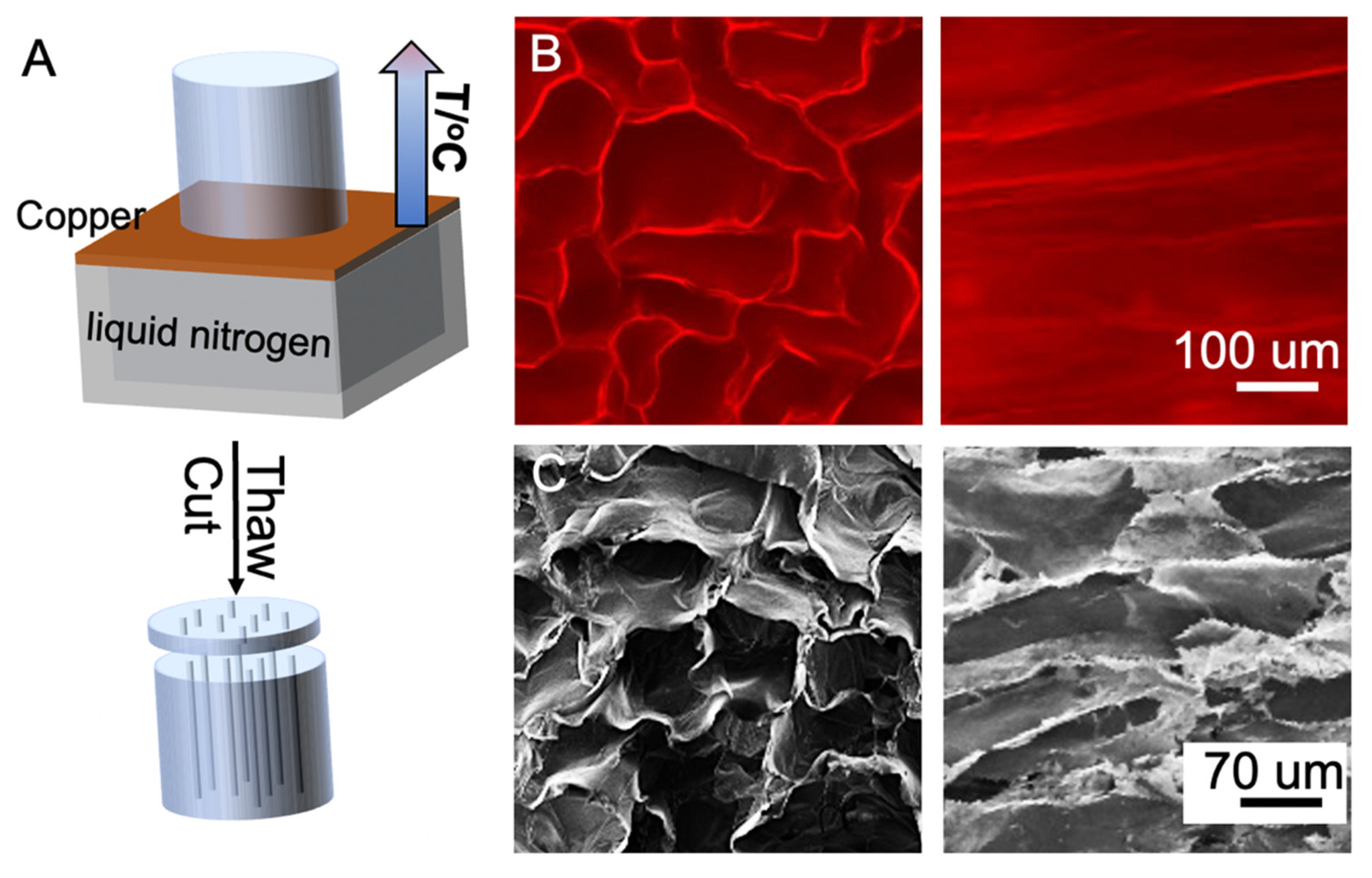 Nanomaterials 12 02412 g002