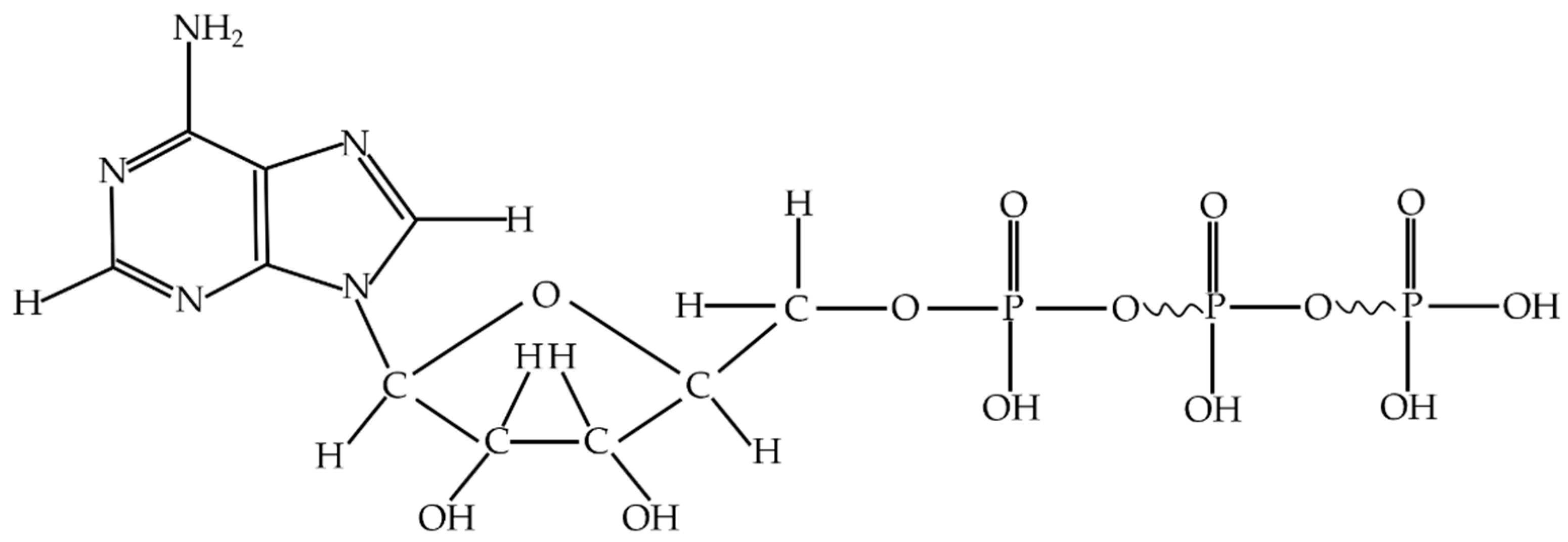 Nanomaterials 12 02417 g001 550